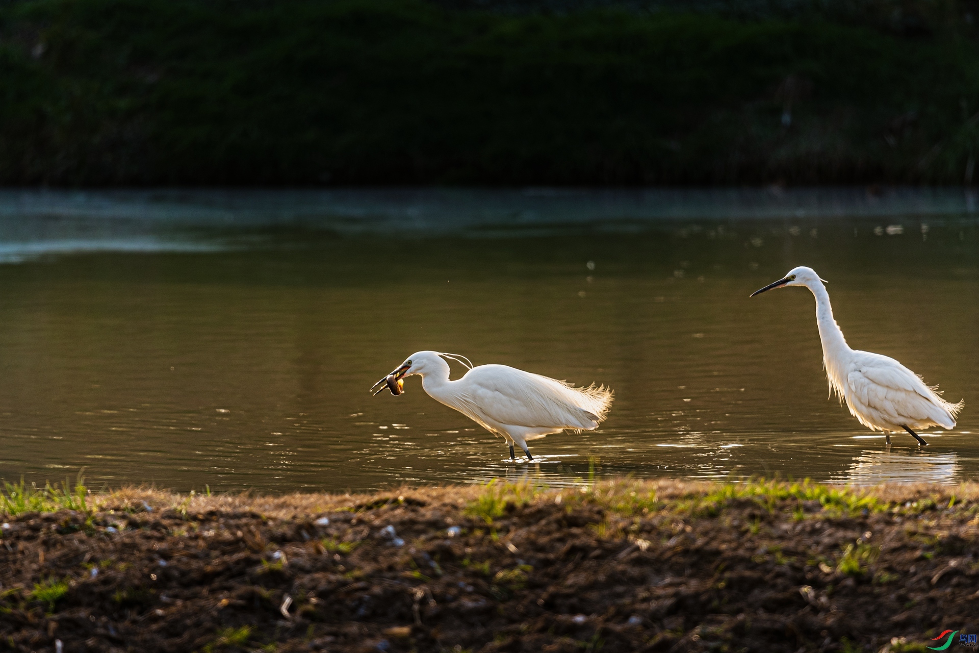 ��������DSC_5144-1.jpg