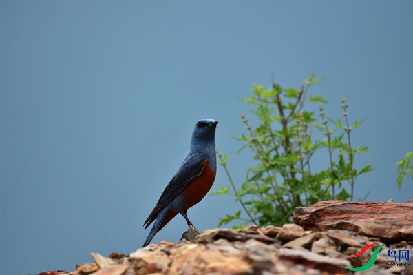 File0000051200.jpg