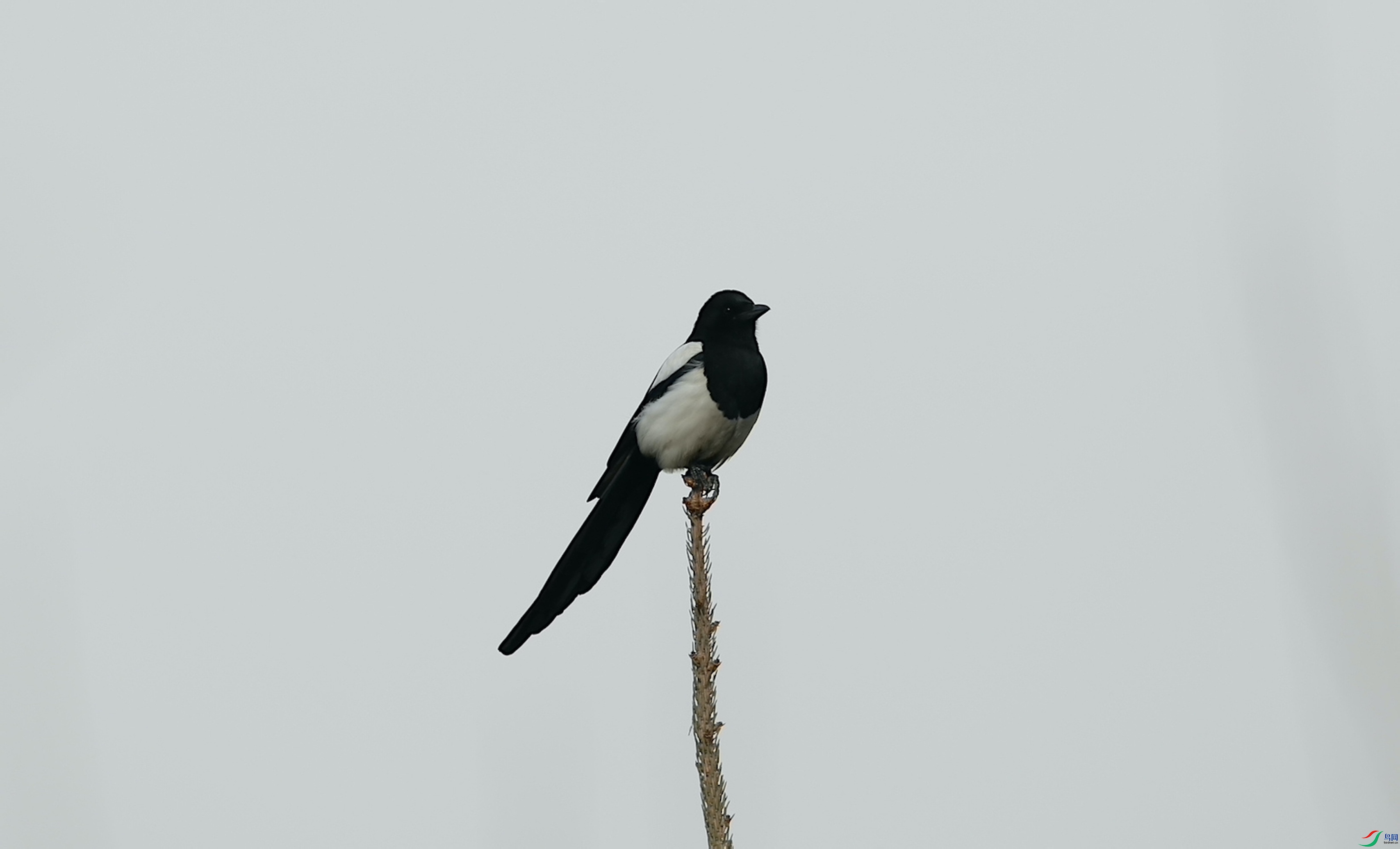 _39A9657.JPG