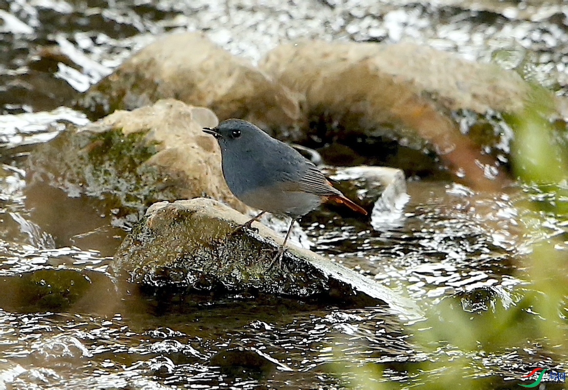 ��βˮ�20211016 2.JPG