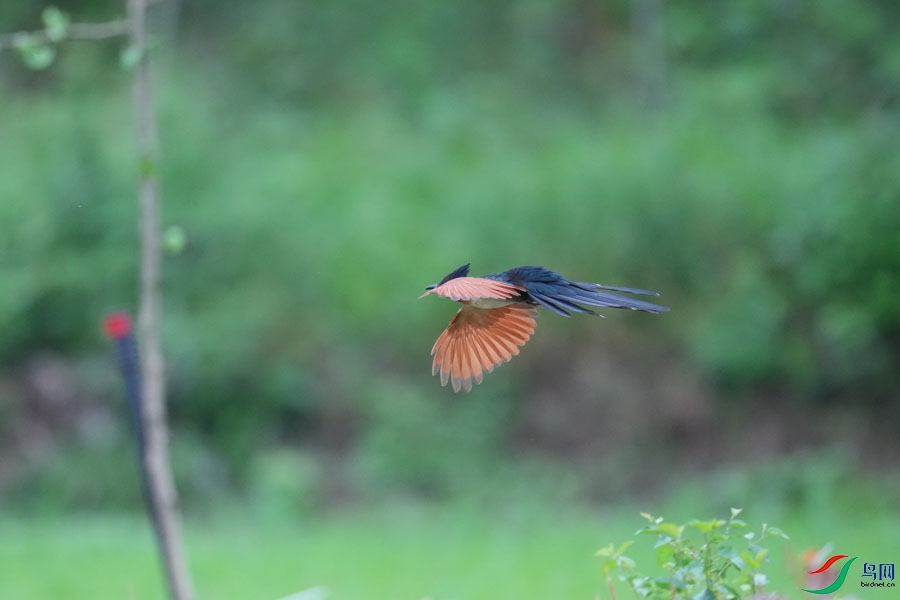 DSC08402_cr-16.jpg