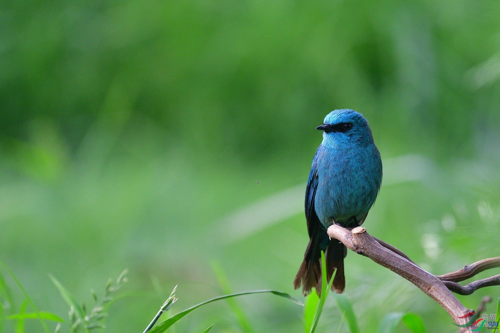 @����  ��ʦ����.jpg