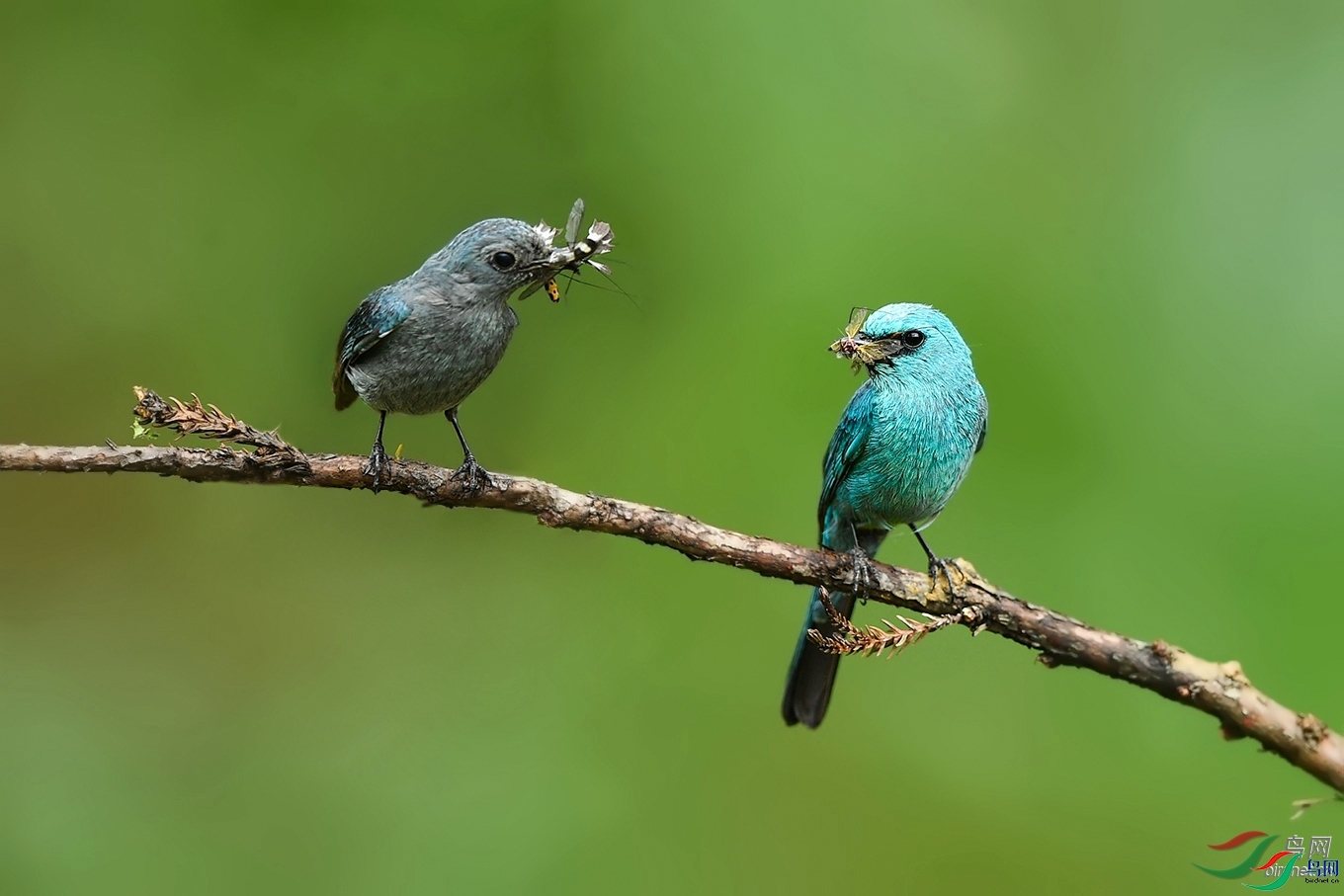 ��������  ��ʦ�����ں���ʡ��ʩ���������������� ��ʩ�аŽ�������.jpg