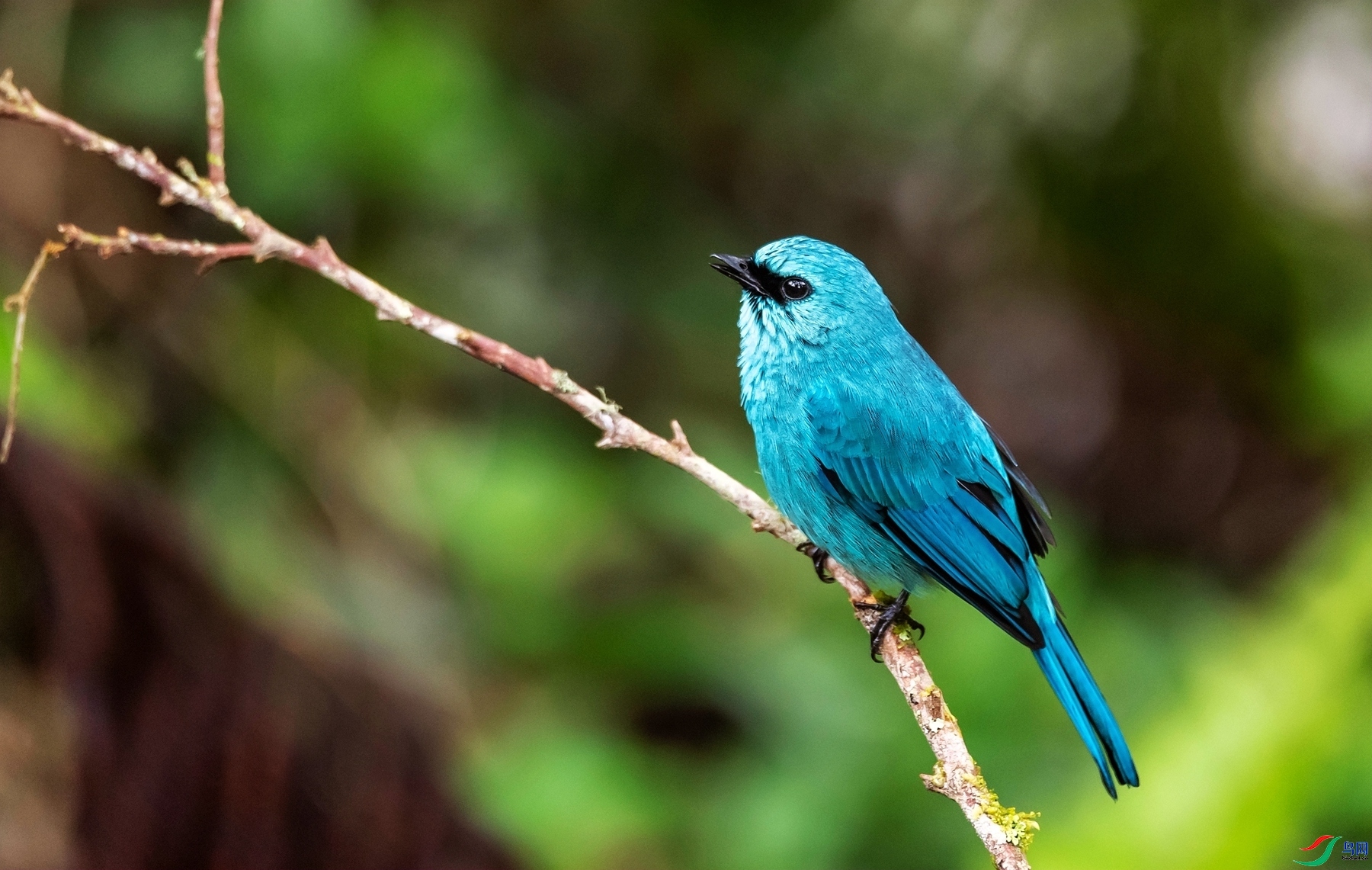 СС�ո�  ��ʦ����.jpg