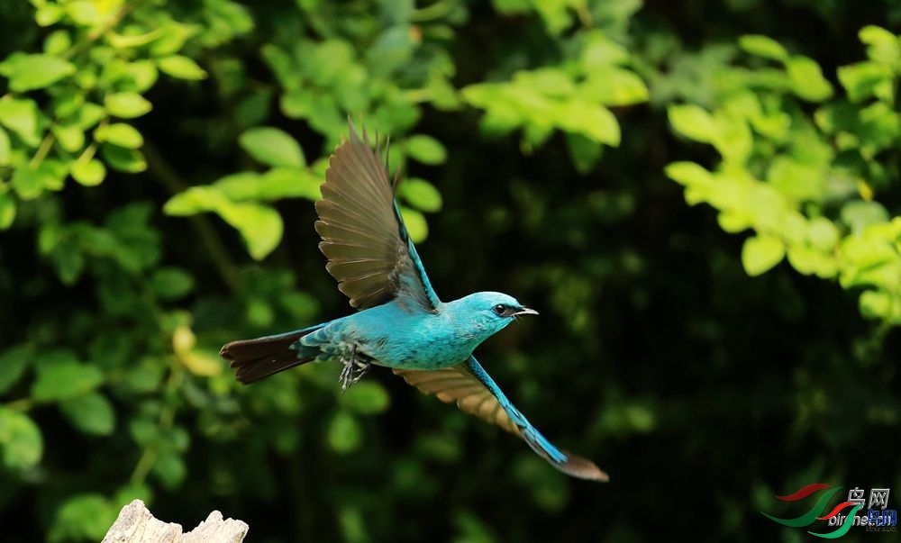 ЦЦ��ү  ��ʦ����.jpg