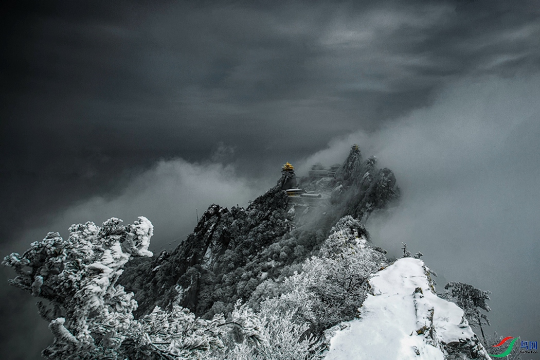 �����ɹ�