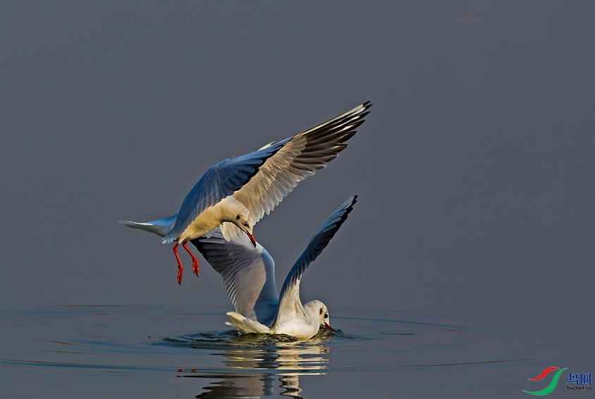 �����ʹ�