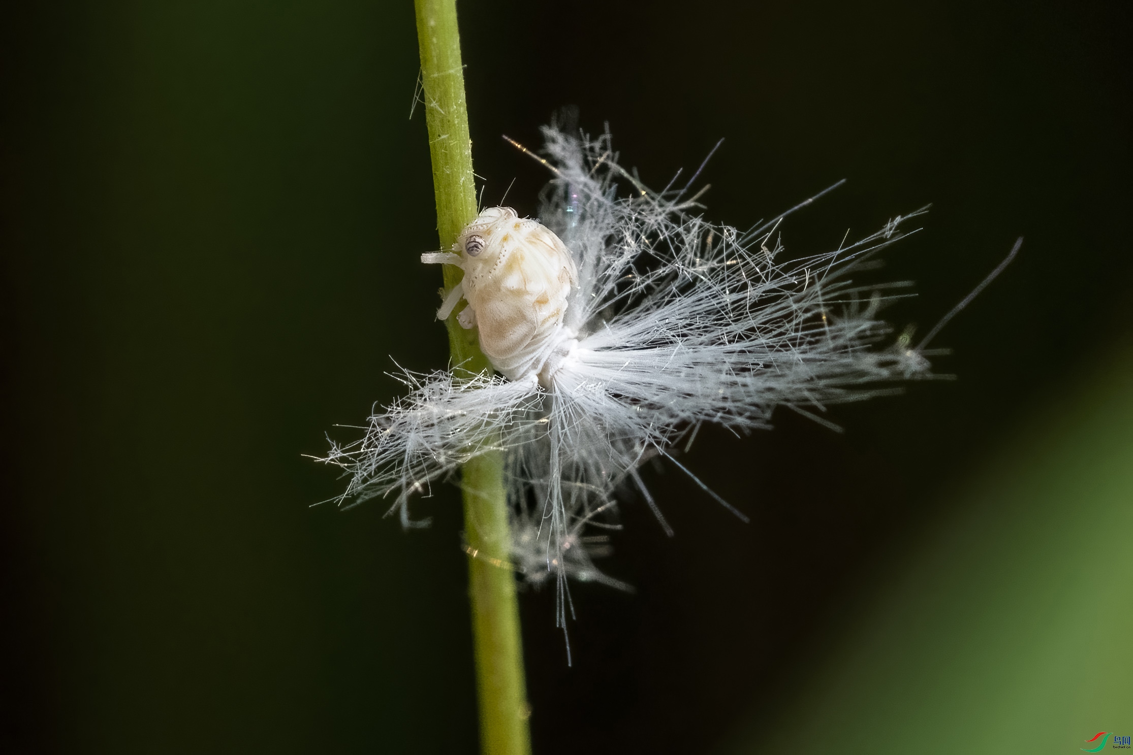 DSC_4743.jpg