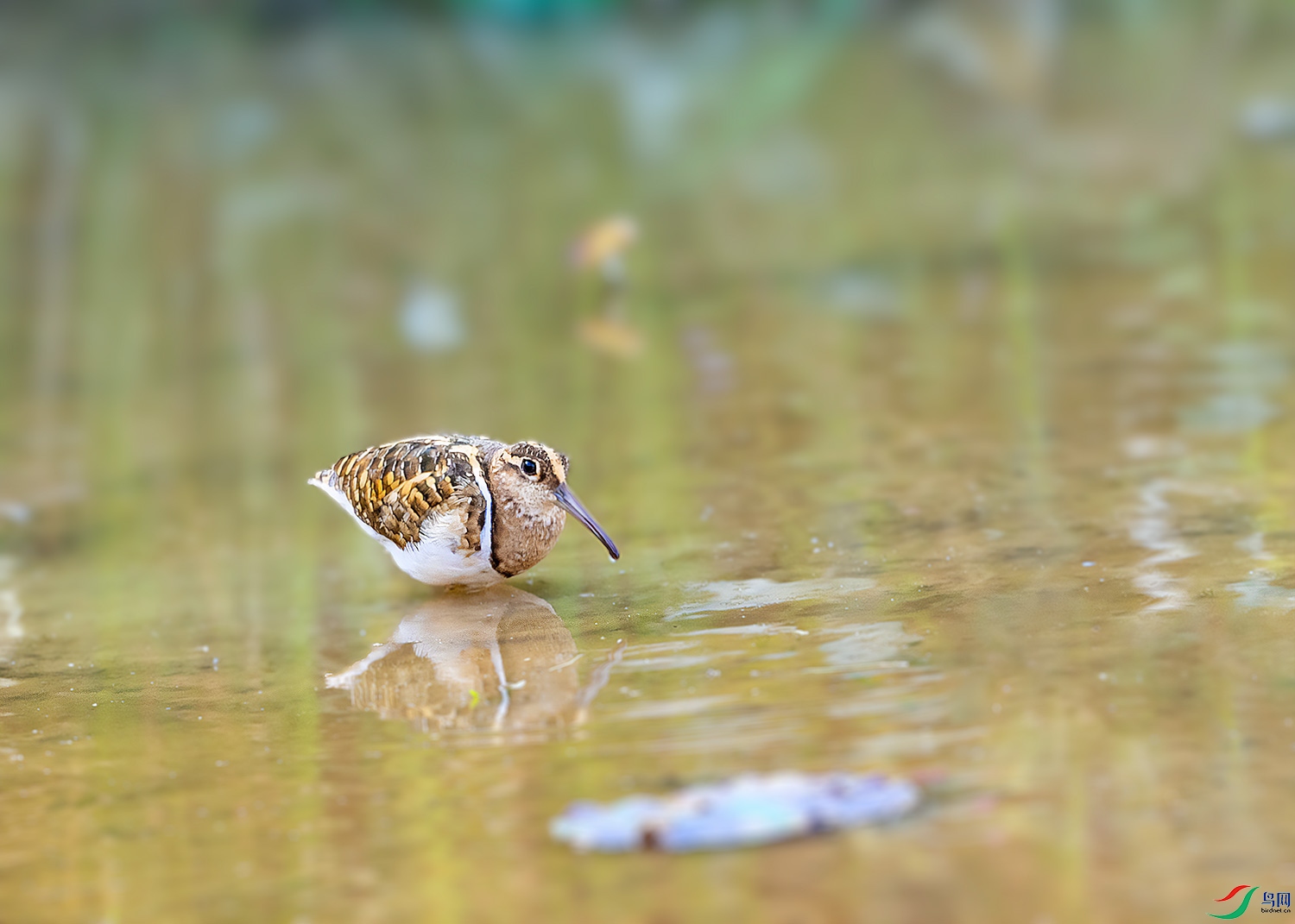 DSC_8293-2.jpg