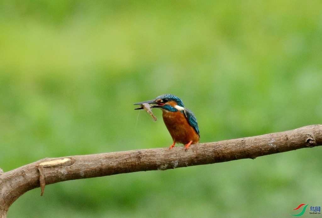 367A3171 (2)_����.jpg