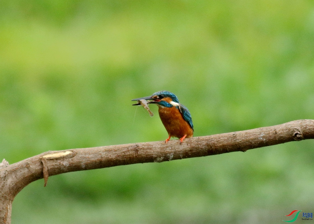 367A3172 (2)_����.jpg