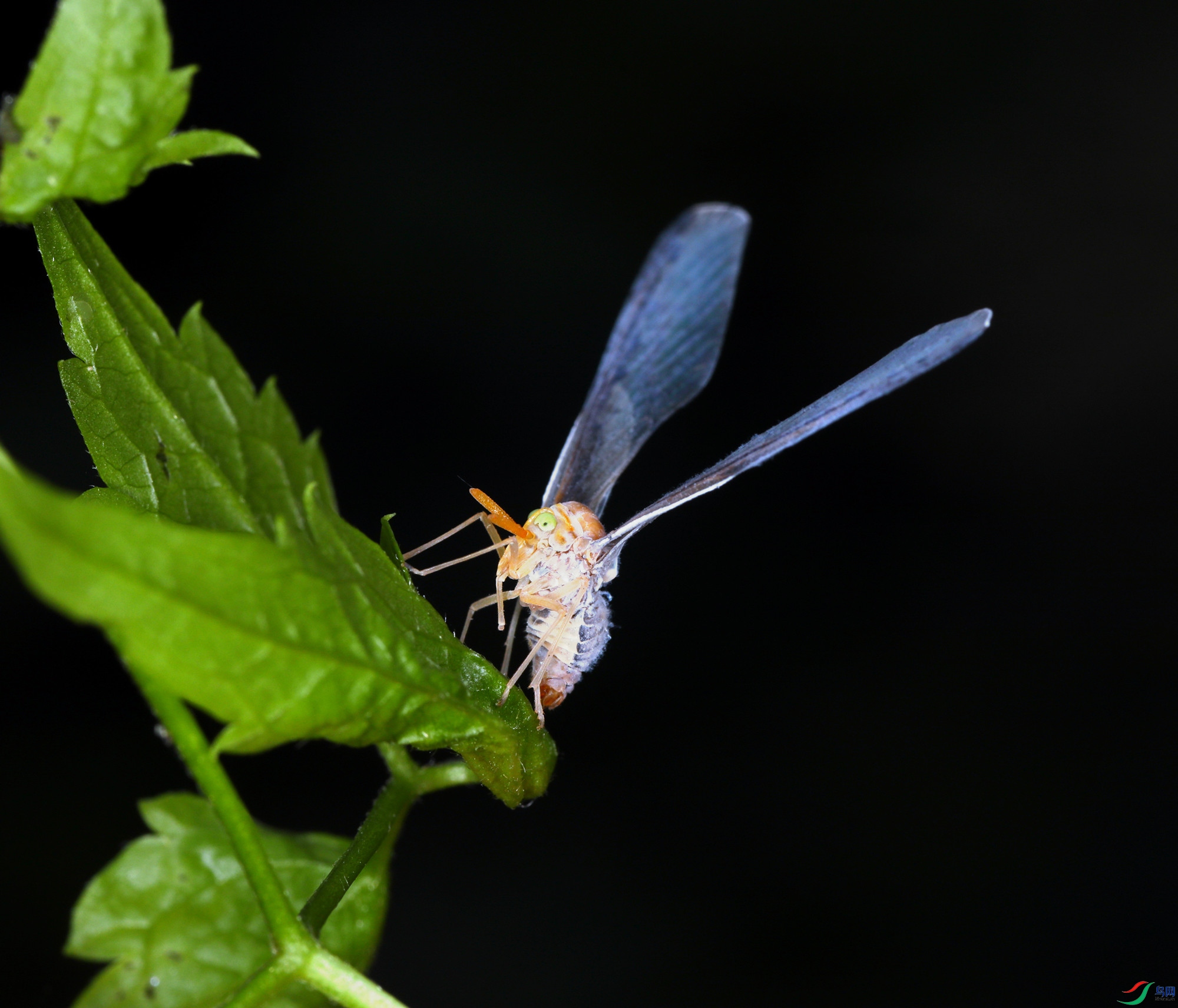 EC6A8890_����_����.jpg