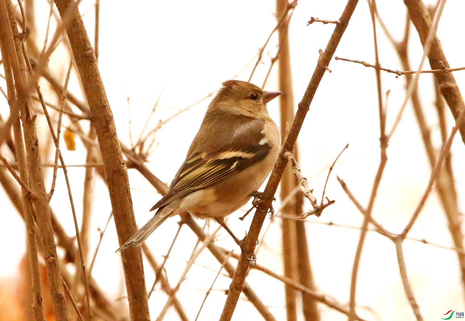 ��ȸ - ����_����.jpg