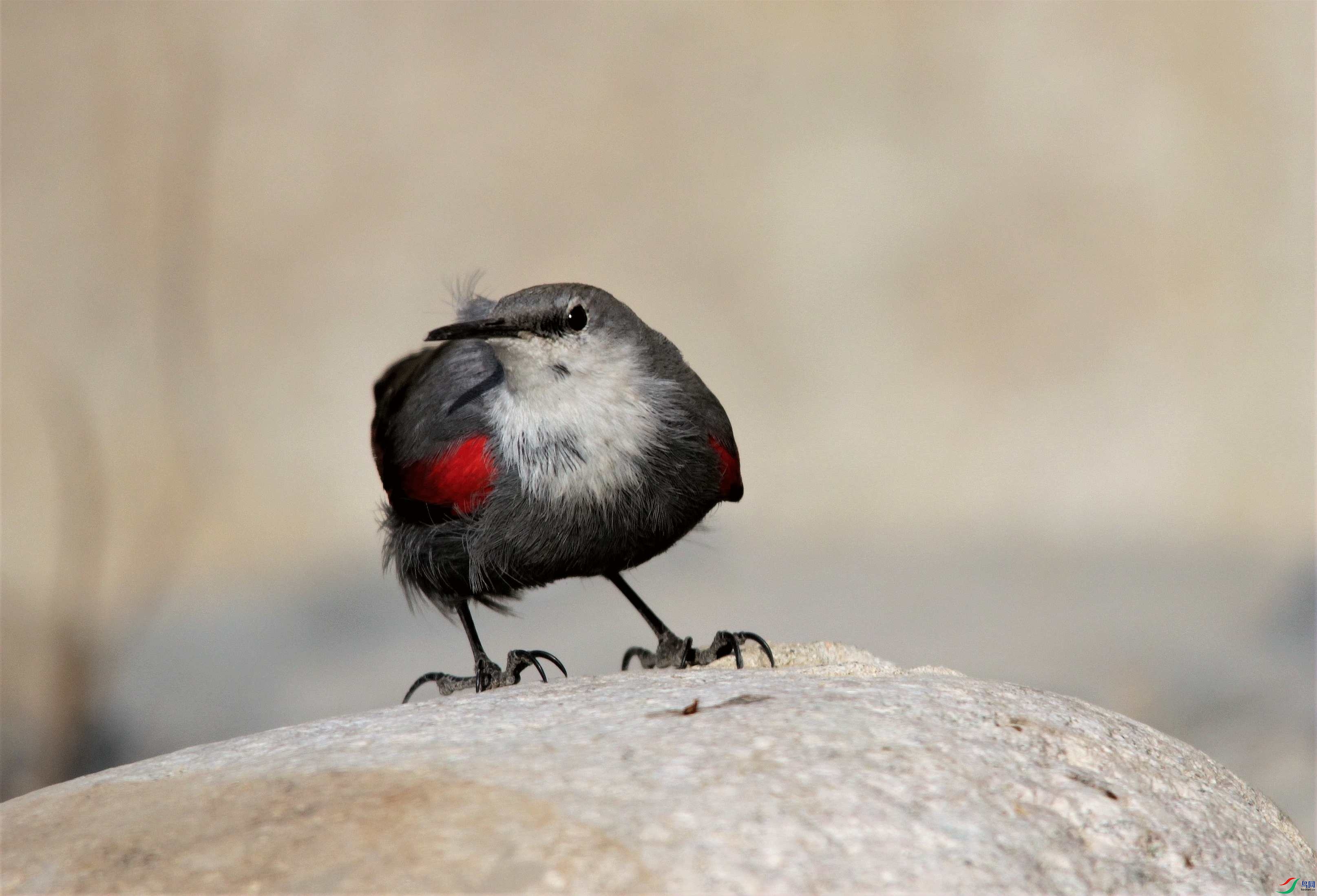 �������ȸ (6).JPG