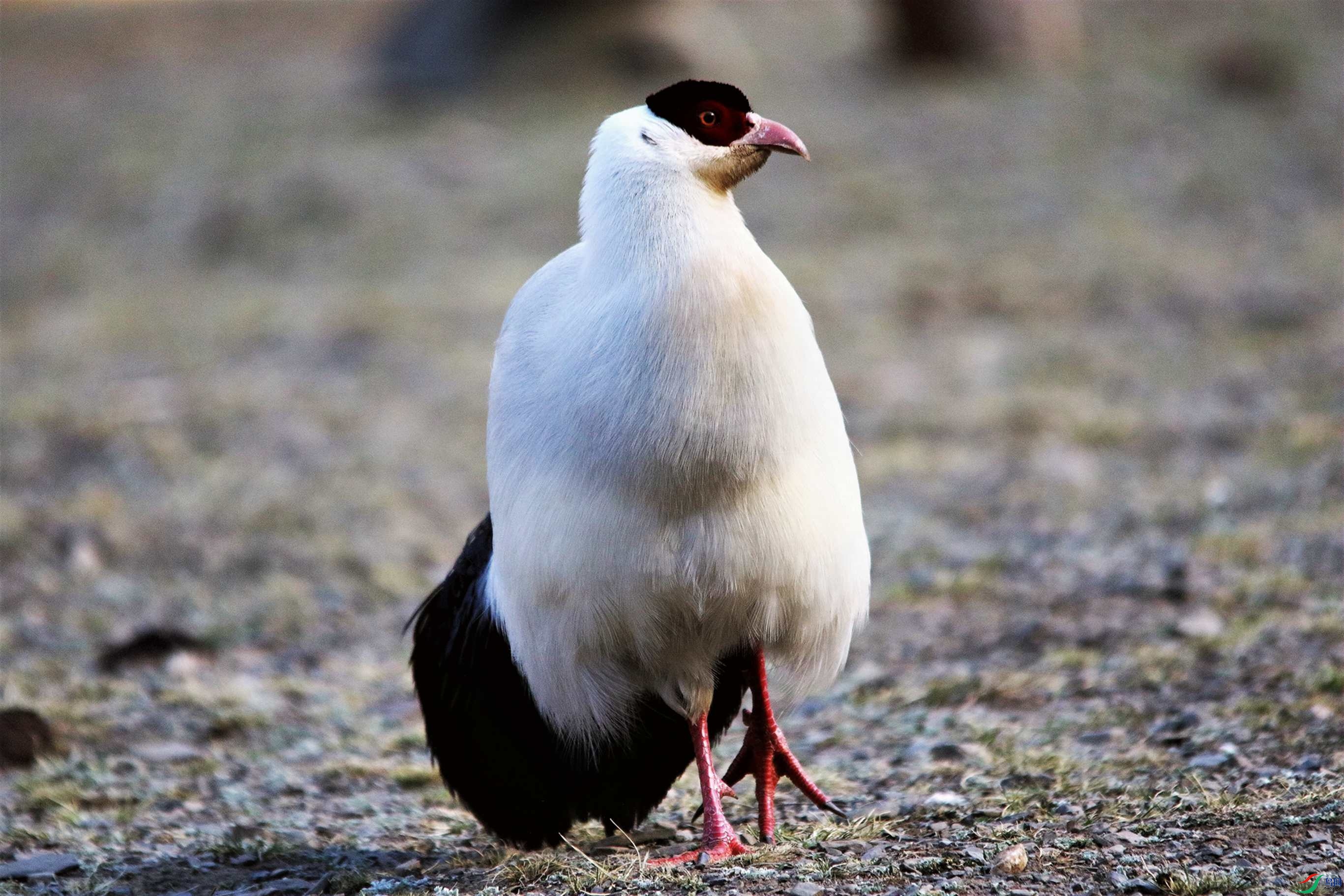 ������ (22).JPG