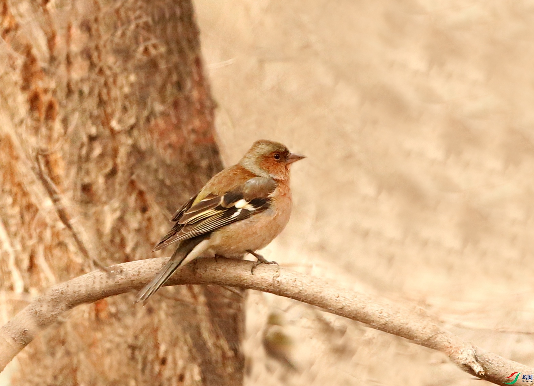 ��ȸ������ - ����_����.jpg