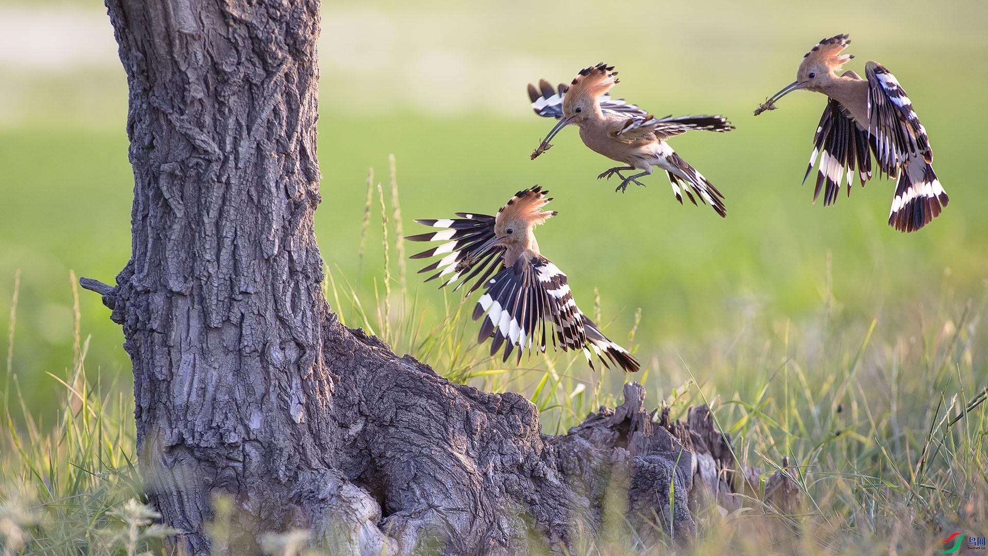 IMG_14481 ����.jpg