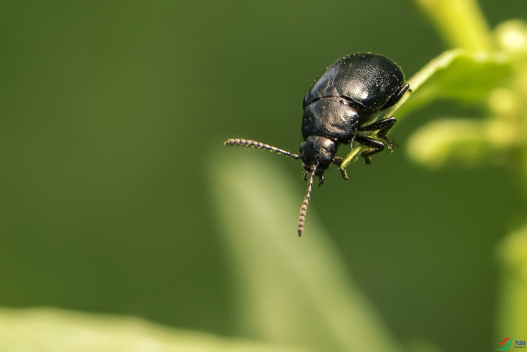 DSC_8393.jpg