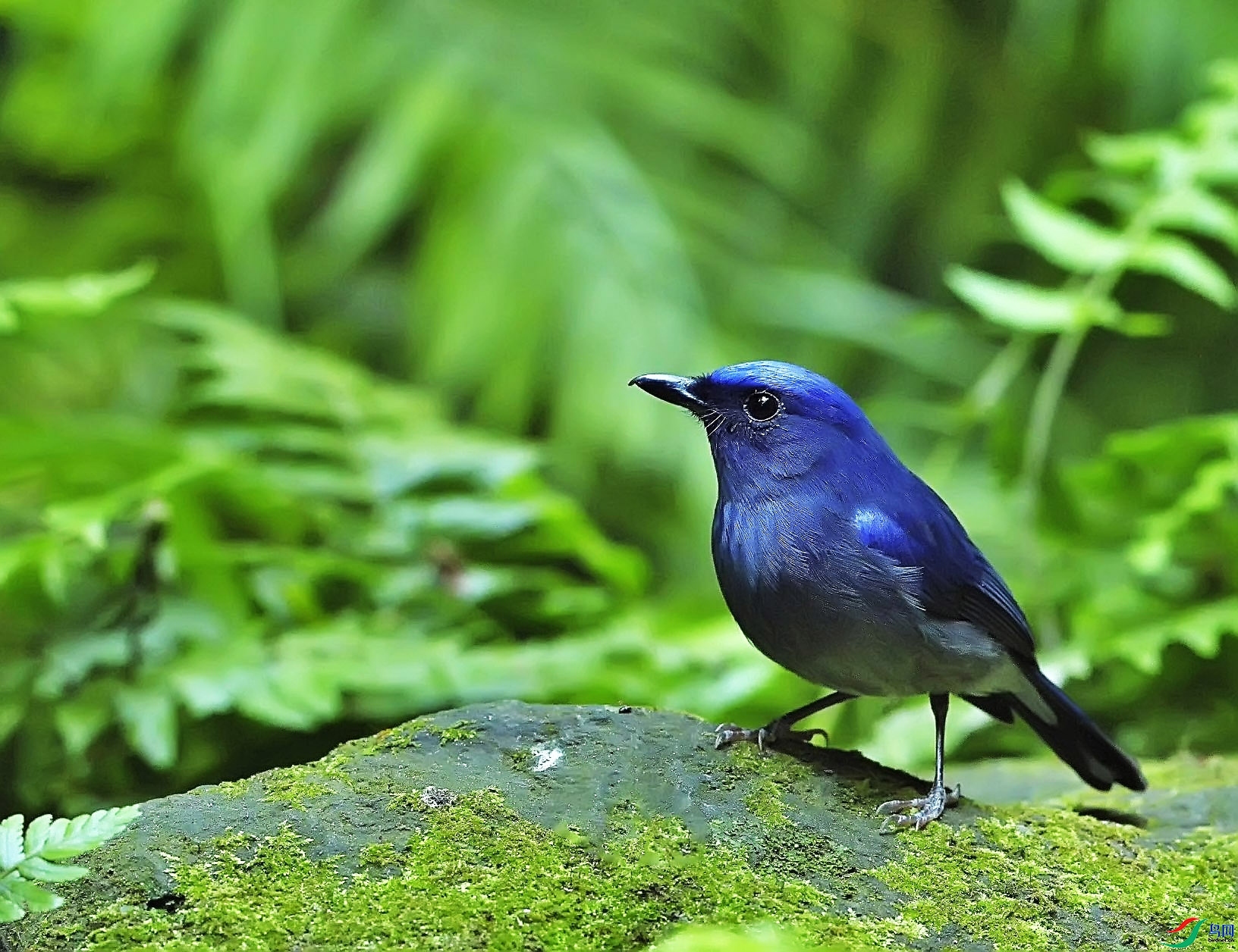 �����ɹ���ʦ����������ʡ�º���徰���������� ӯ����.jpg