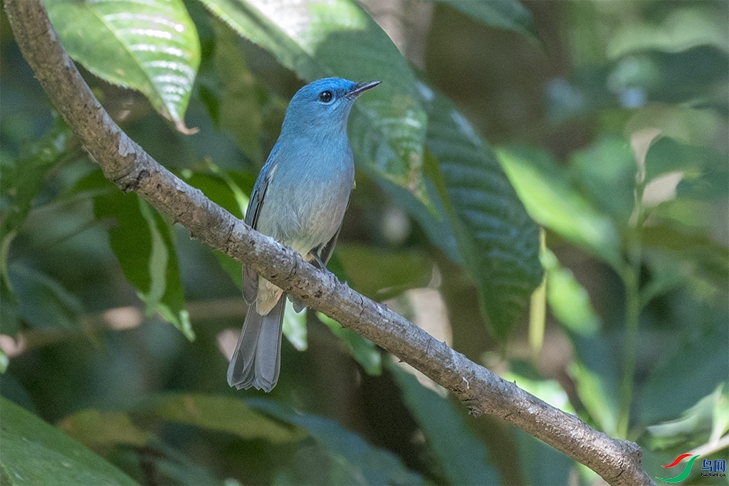 ��������  ��ʦ����������ʡ��ɽ��.jpg