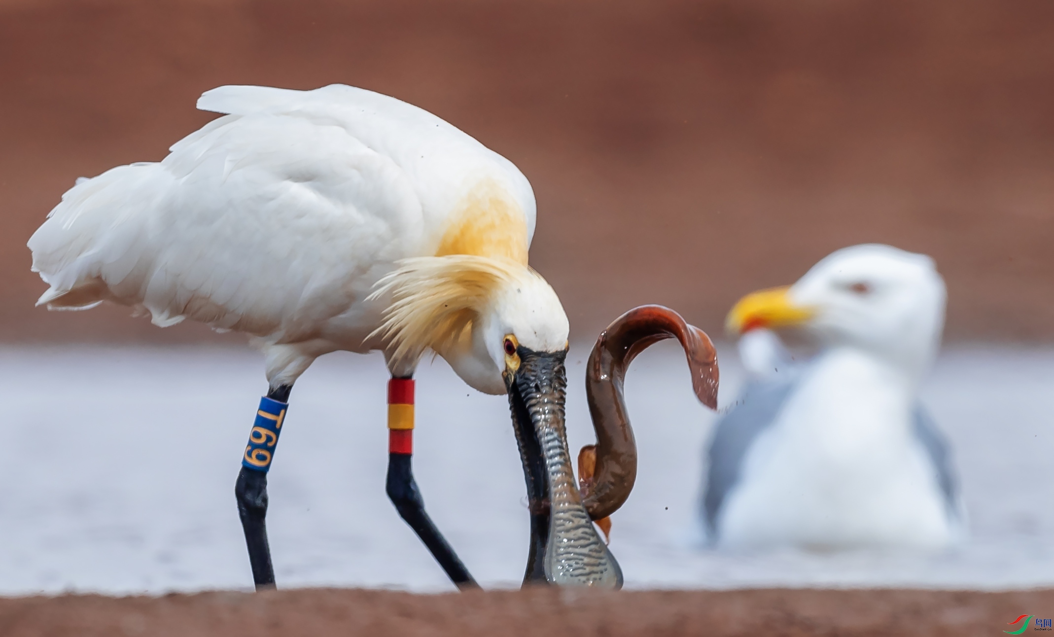 ��������