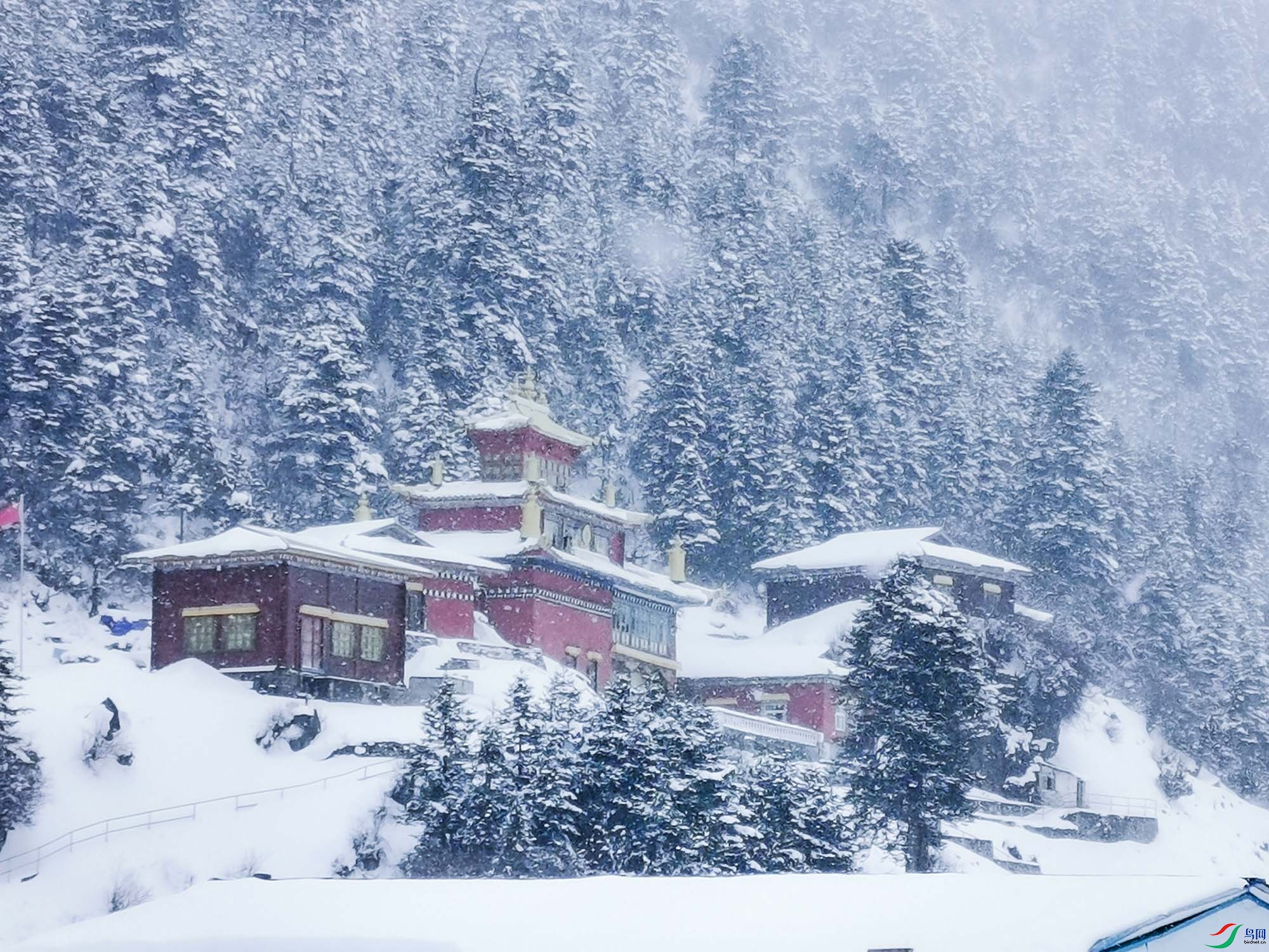 �߽�ī��-��ѩ����·