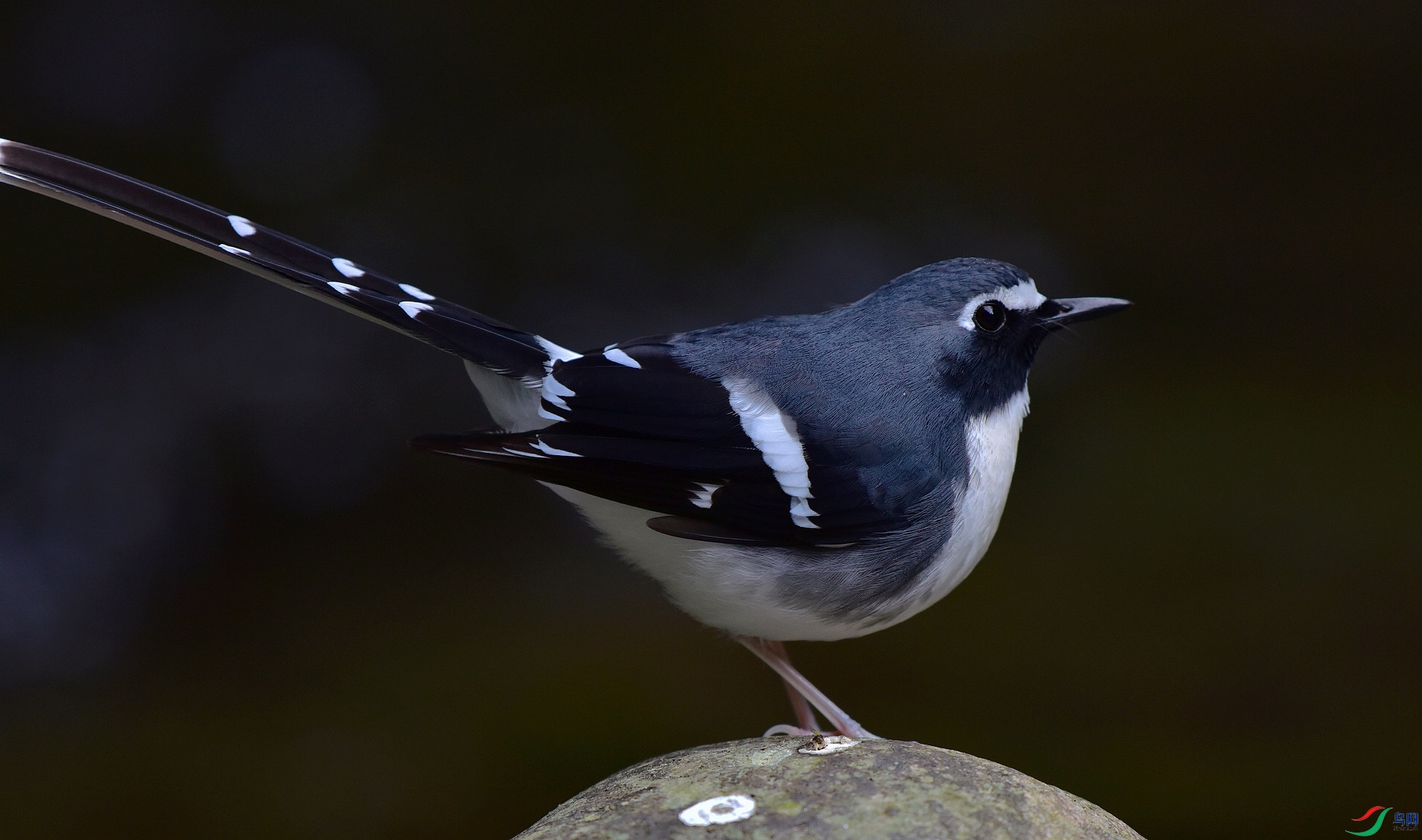 D8I_2691.jpg