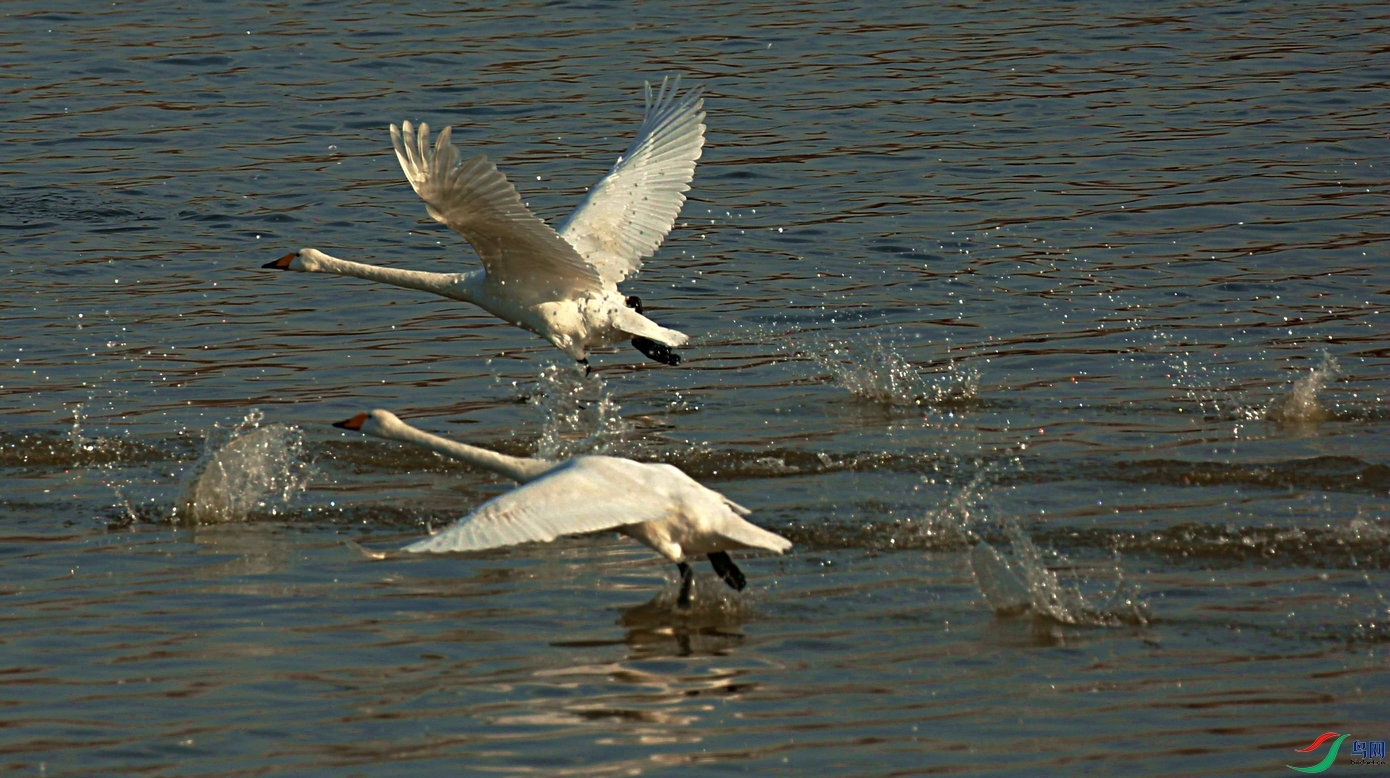 BG3A0566_���� - ���� - ���� - ����_����2.jpg