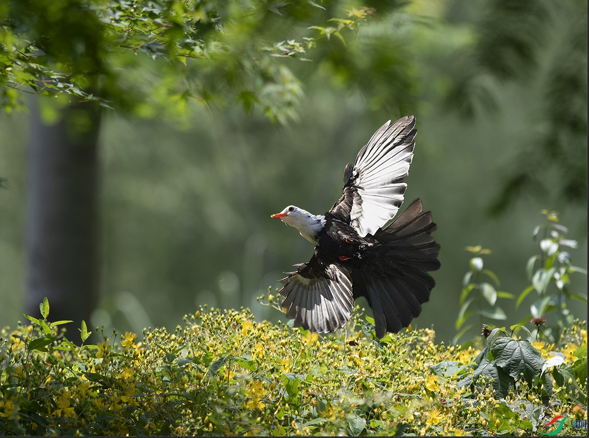 DSC_4552 ����.jpg