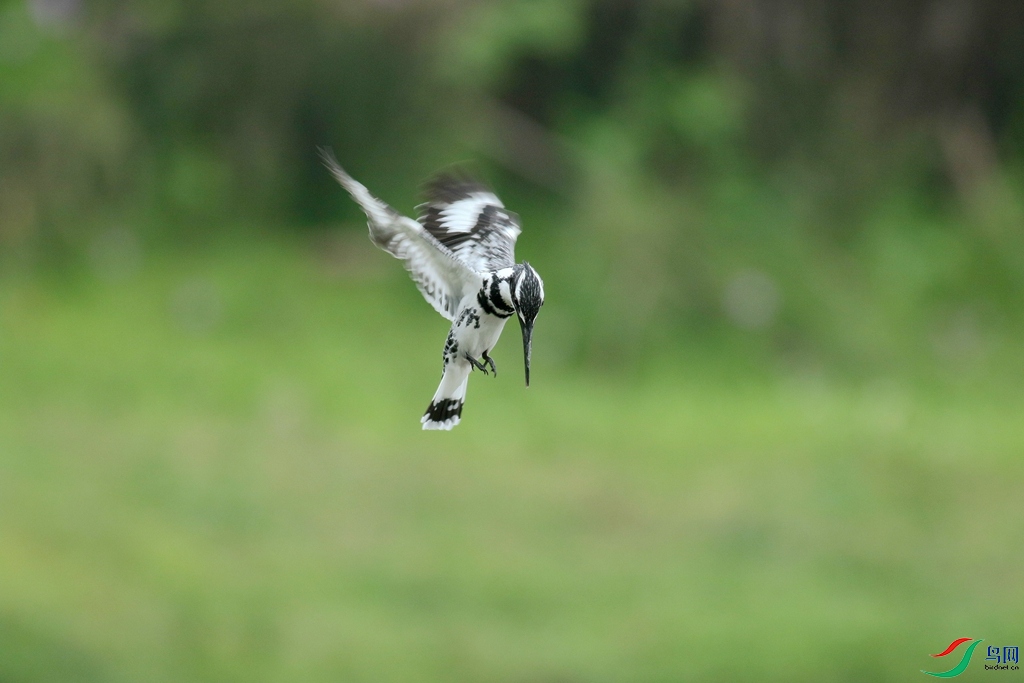 367A3757 (2)_����.jpg