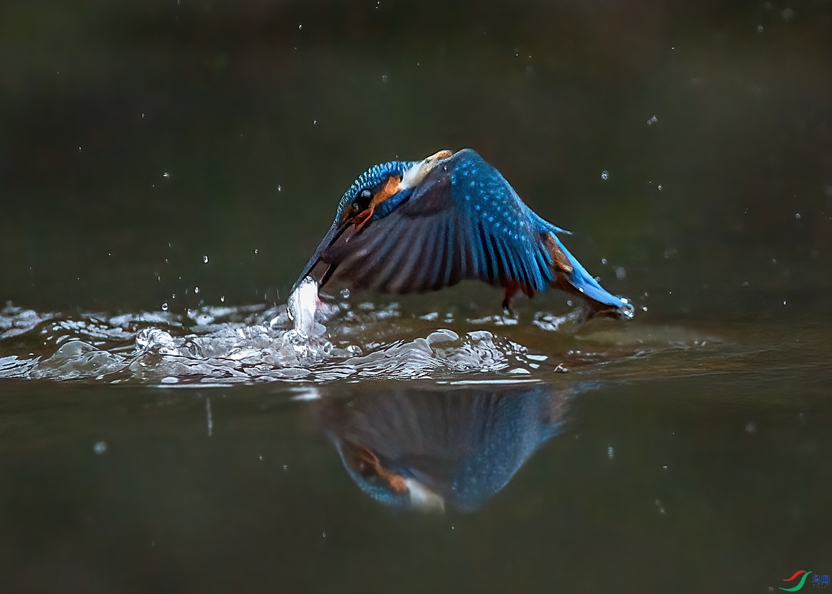 _D5W2892-1.jpg