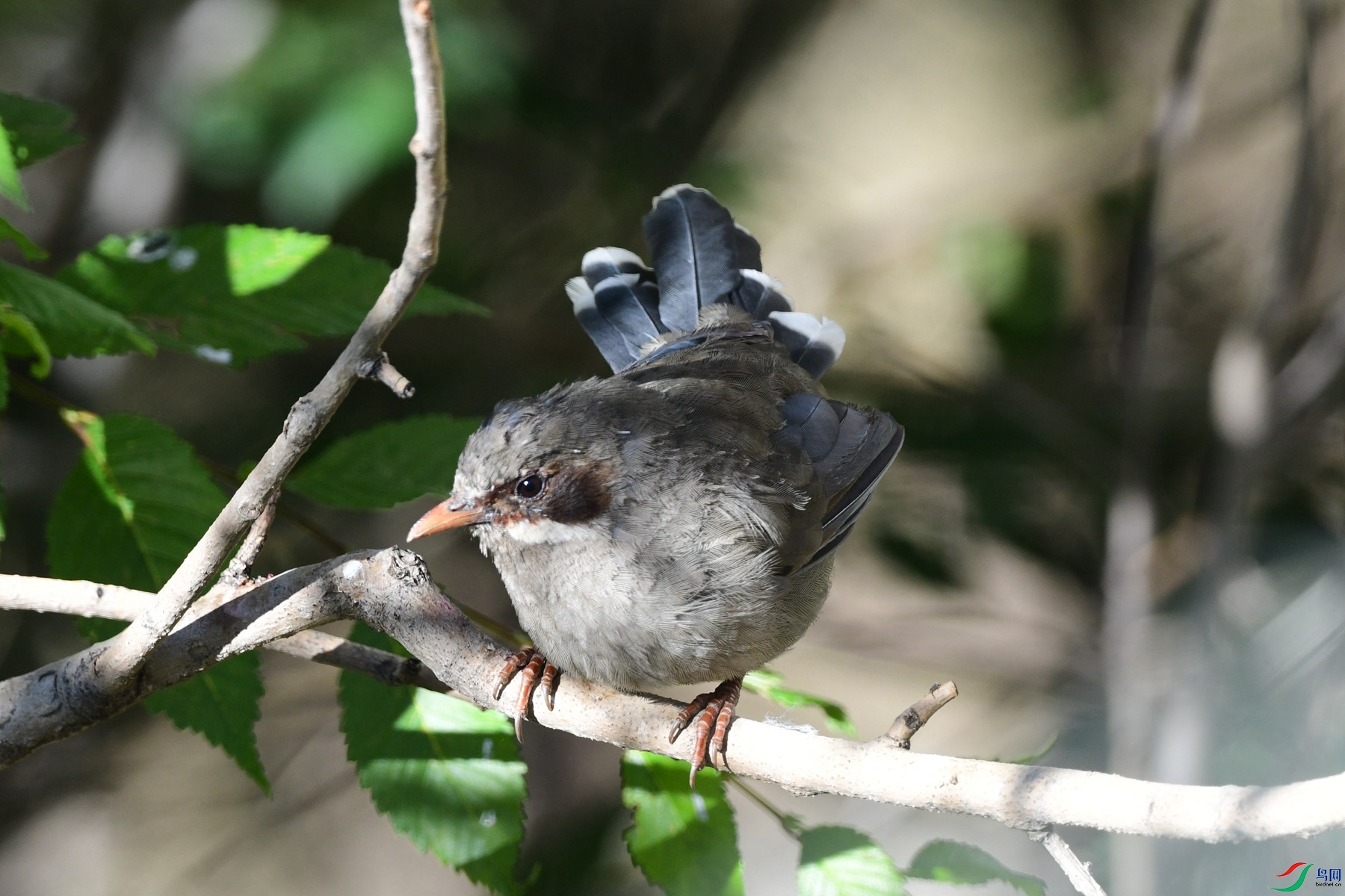 DSC_7110_���ຣ�Ĵ����.jpg
