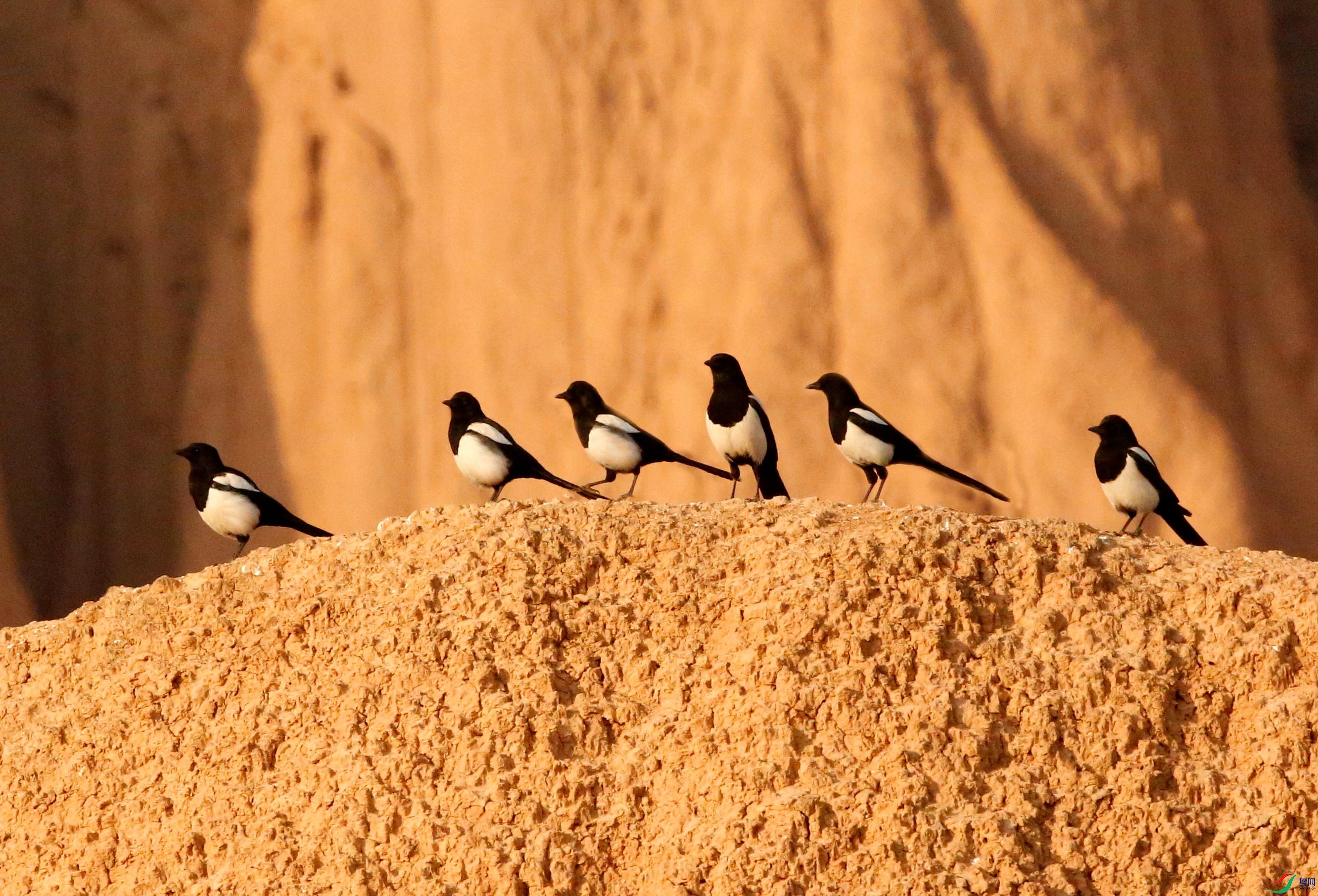 ϲȵ (1)_����.jpg