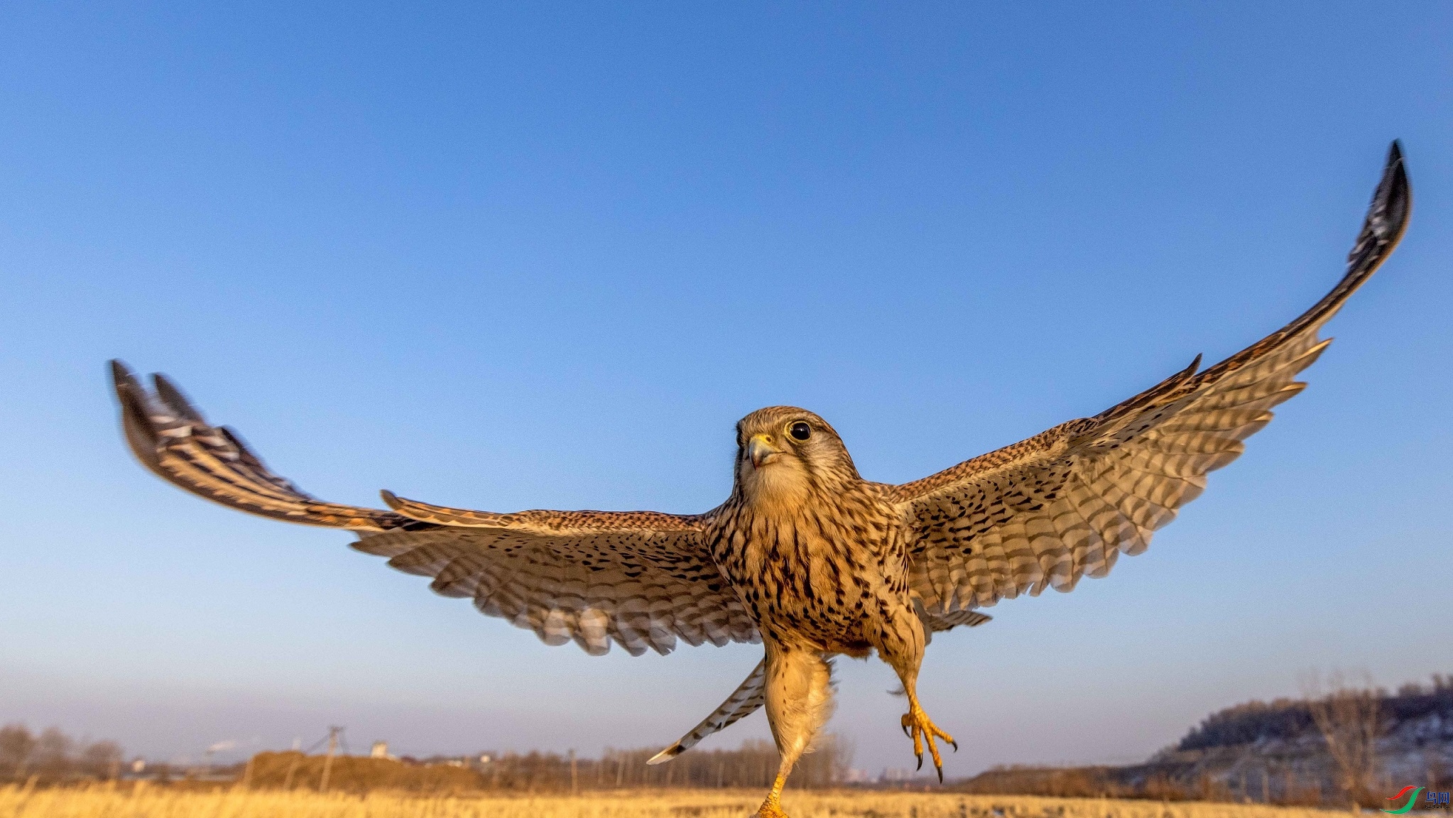 ά��˹��֮��