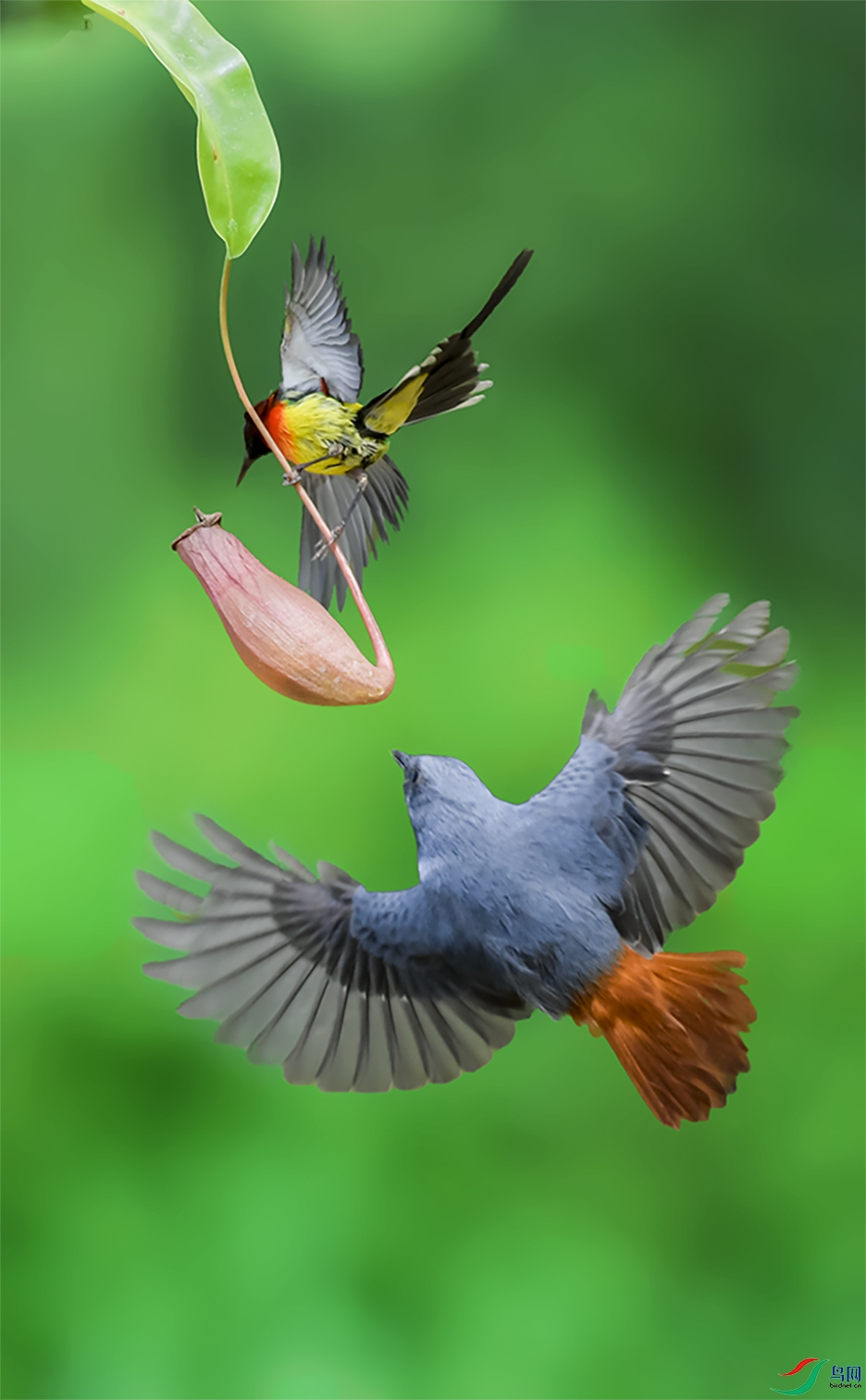 _GZ30510 ����.jpg