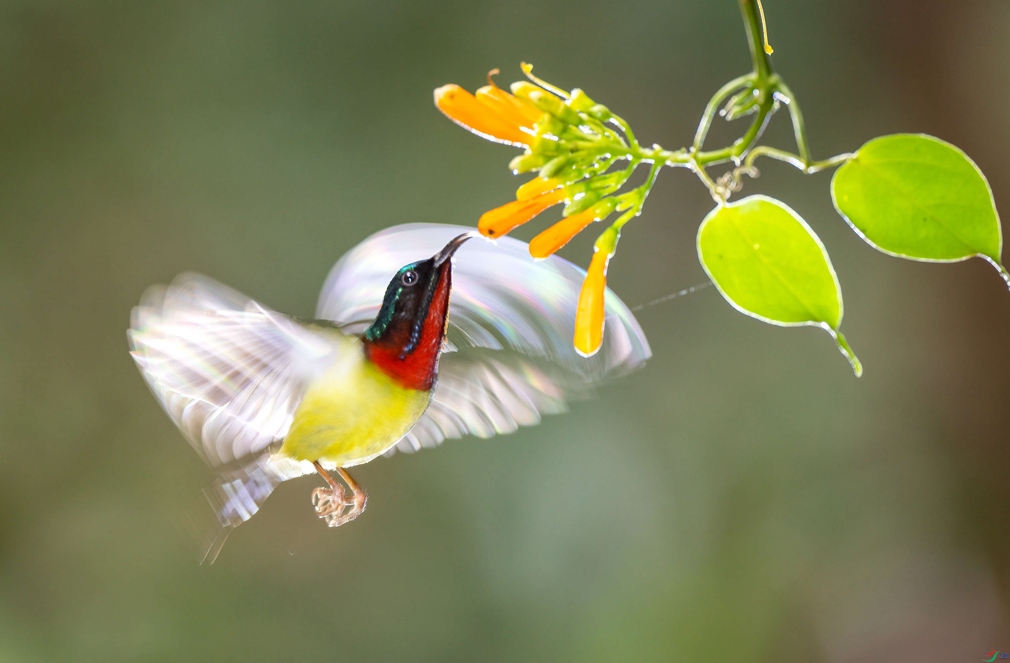 Ʈ�ݵĲ�β̫����