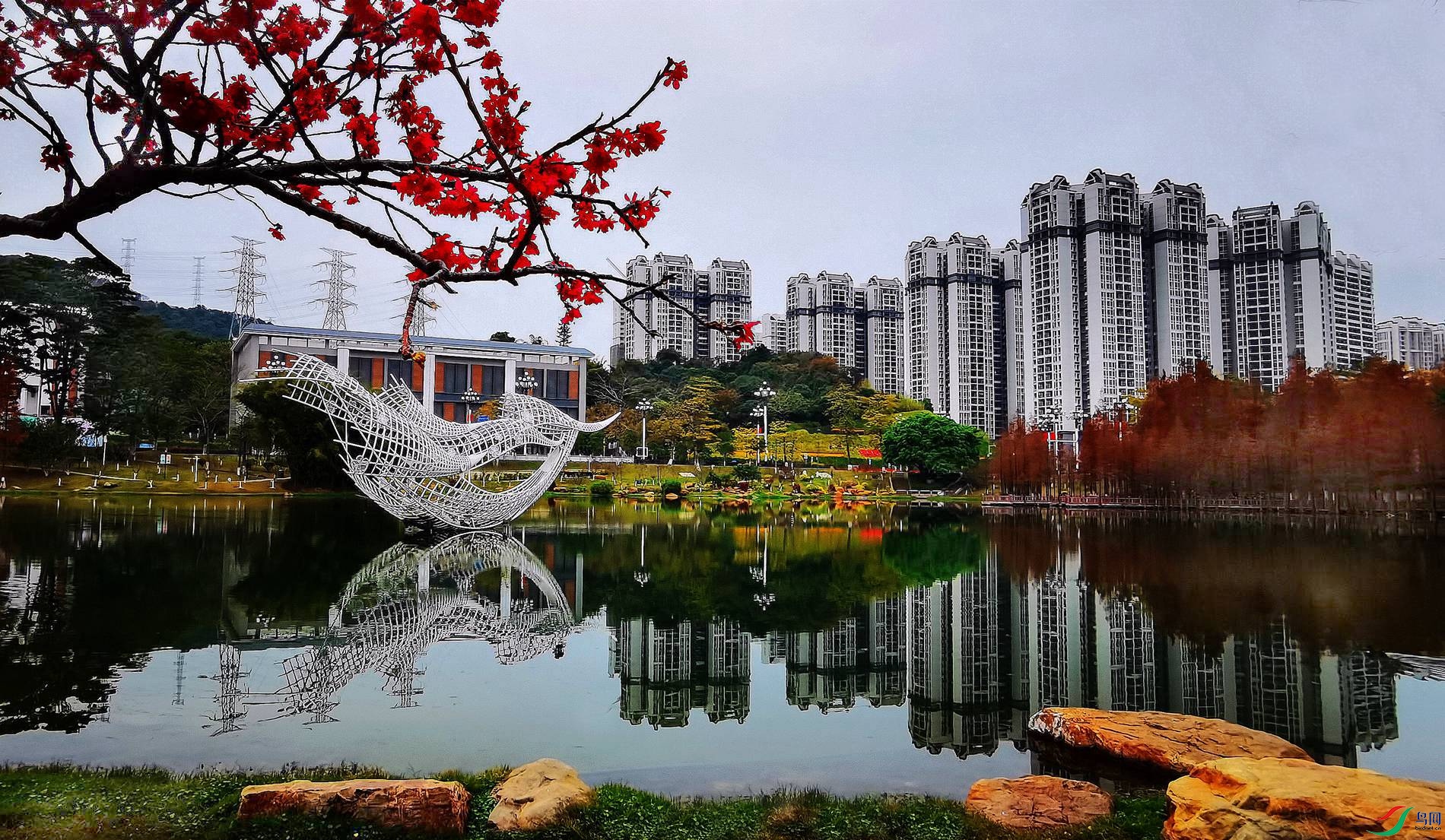 ��ˮ����