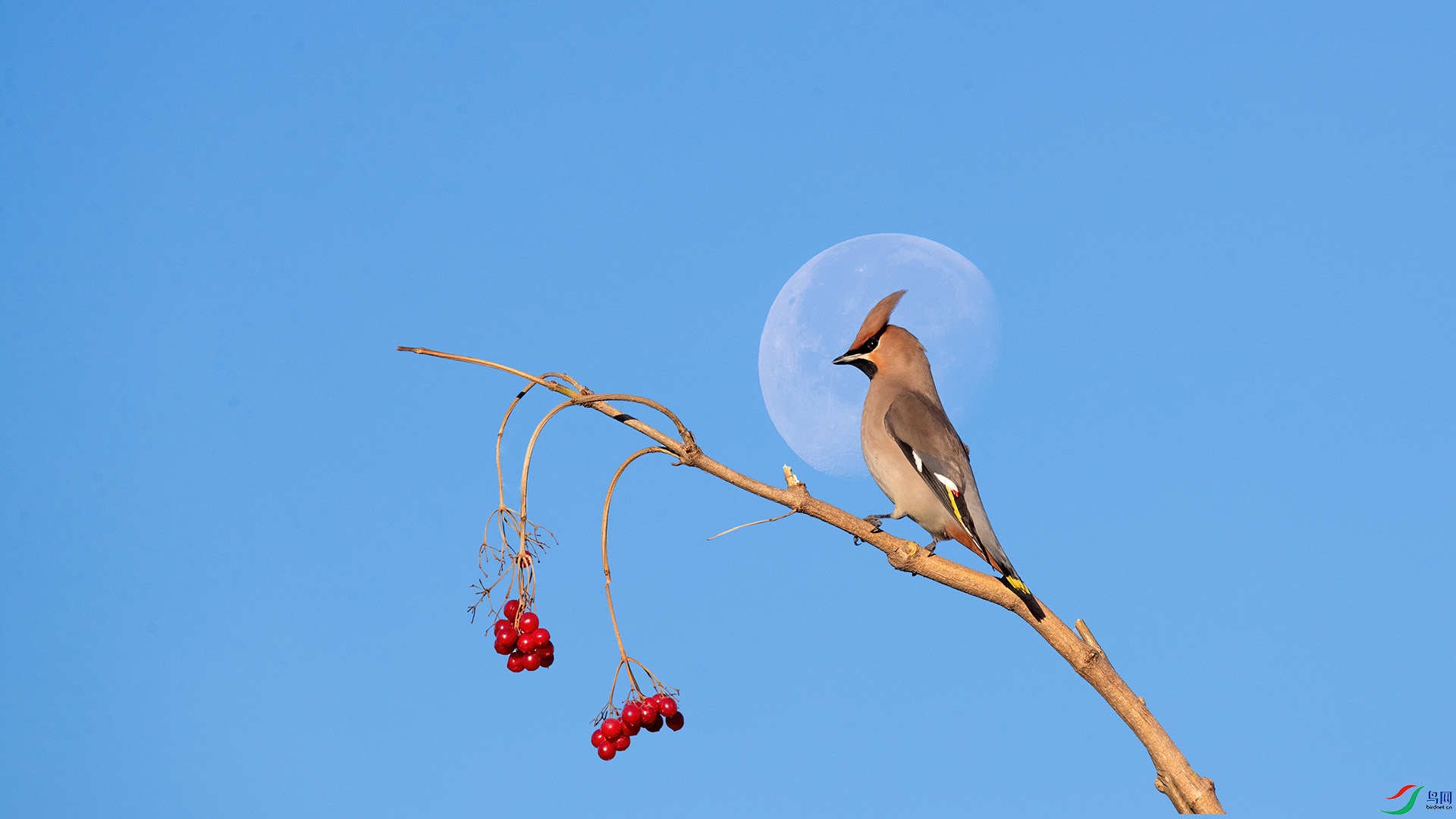 1DX_15831 ����.jpg