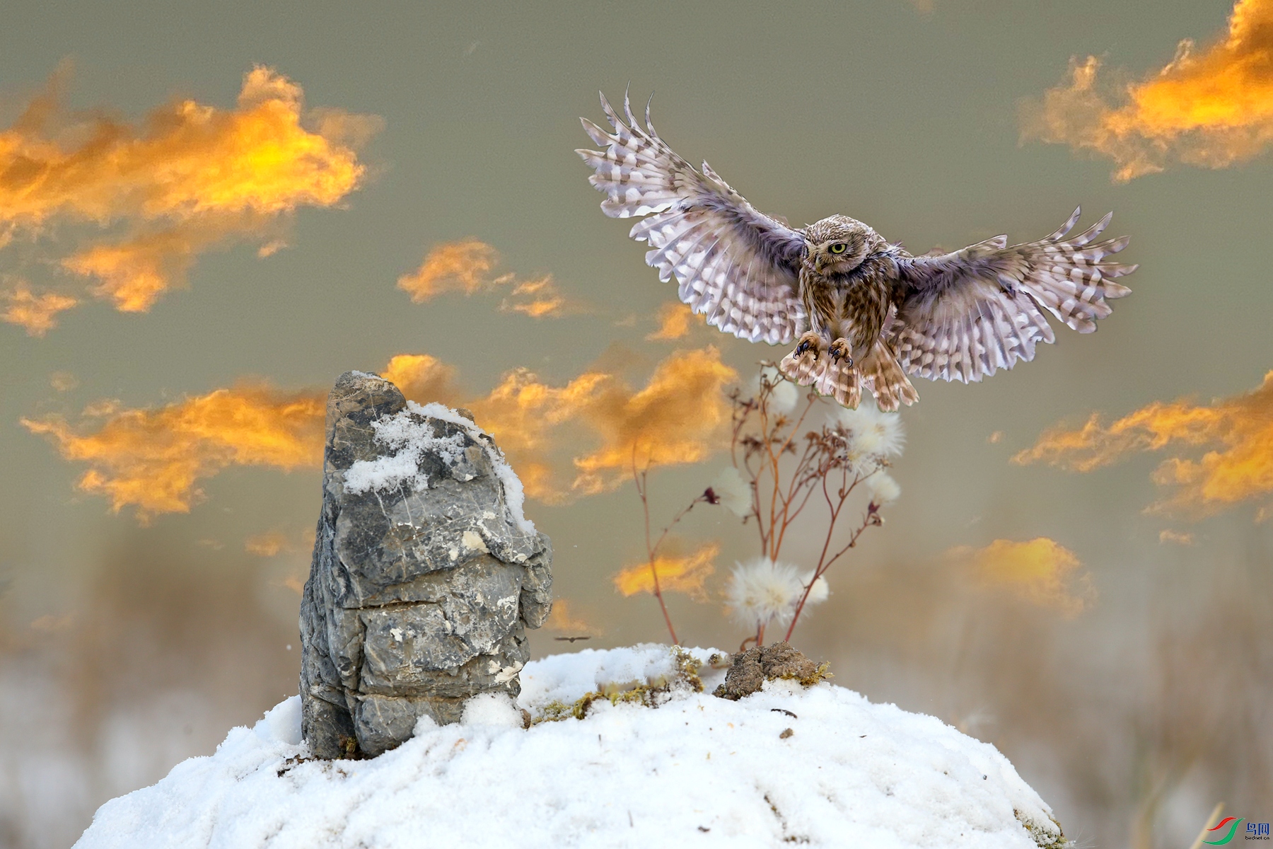 ���� - ����.jpg