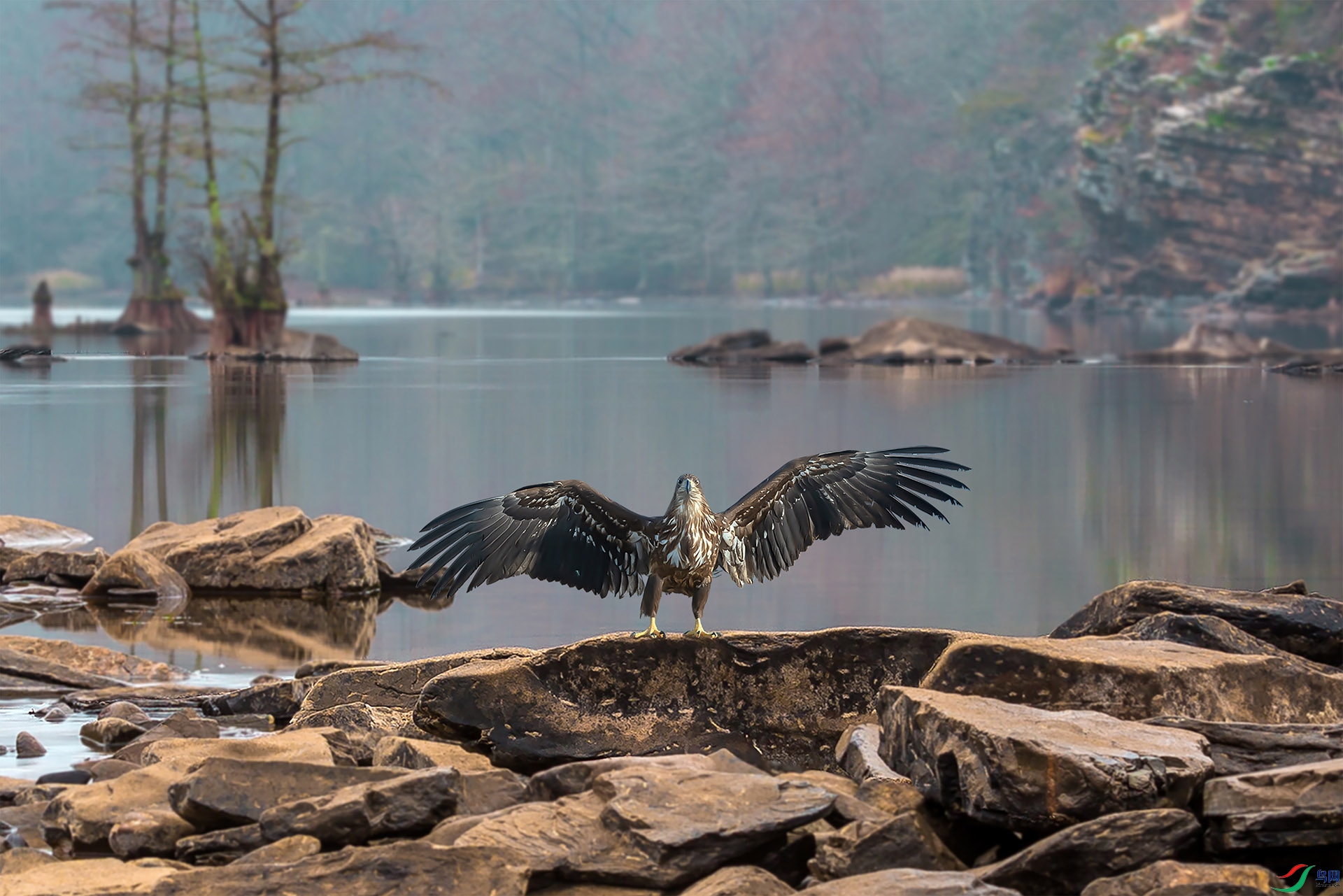 ���� 1920x500k.jpg