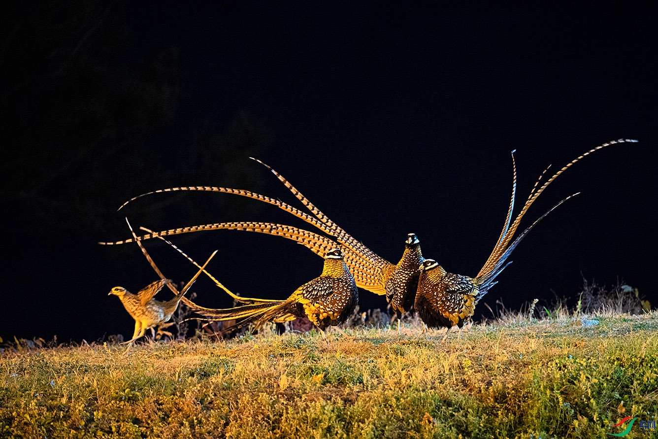 AAA_3644-4.jpg