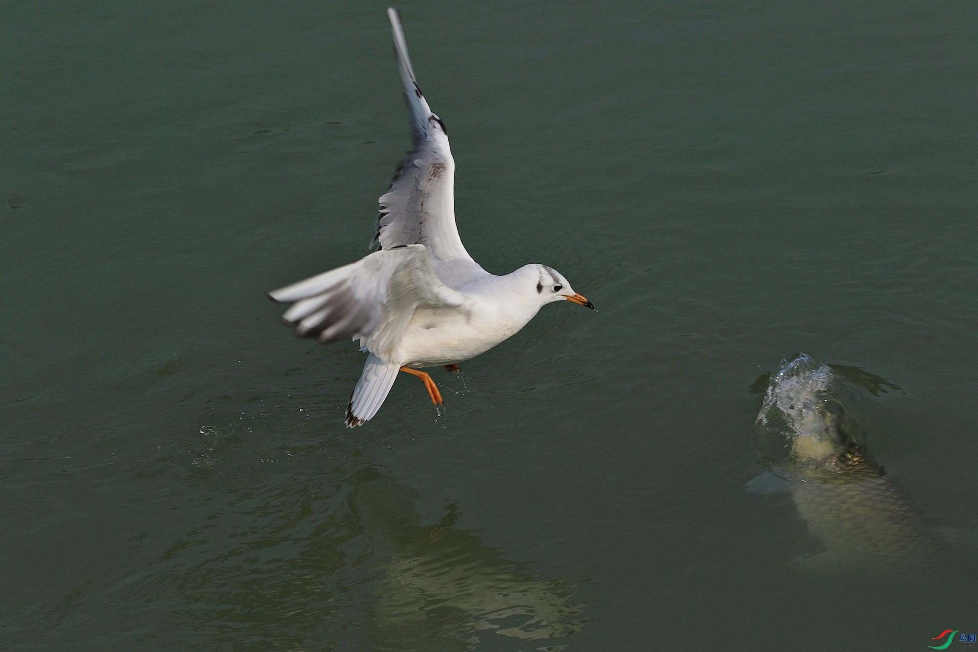 IMG_2254.jpg