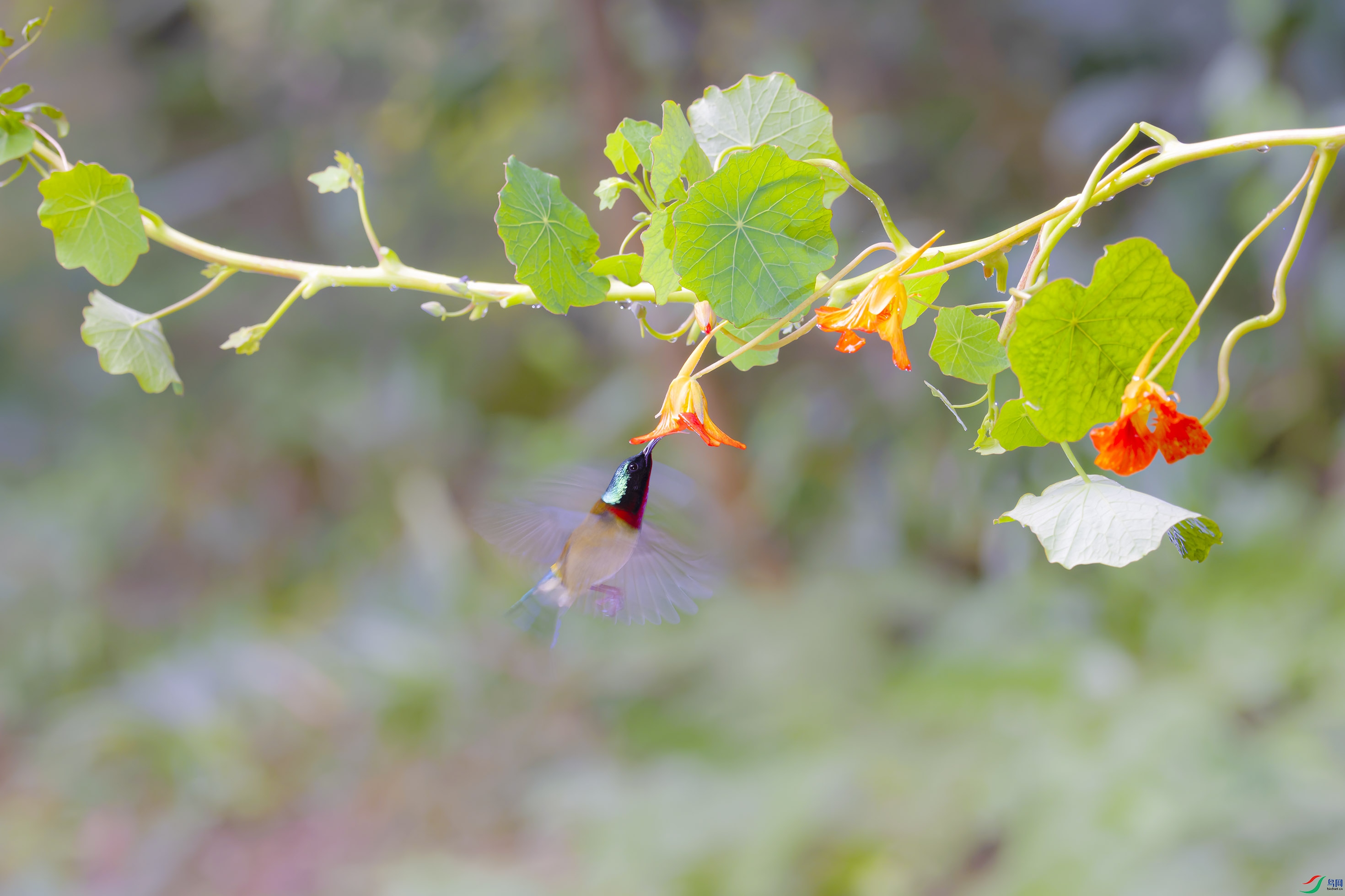 _DSC4335_DxO.jpg