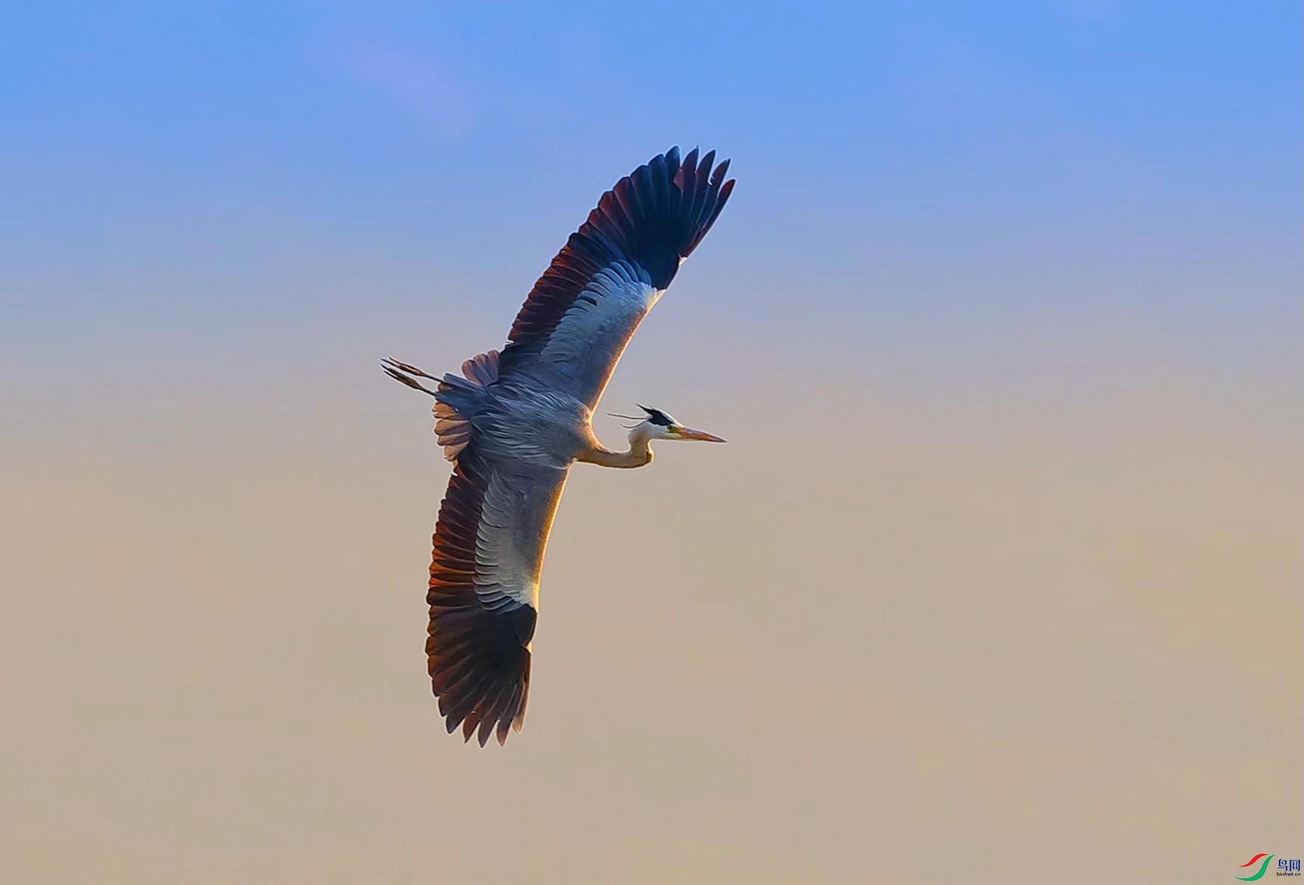 ΢��ͼƬ_20220116192201.jpg