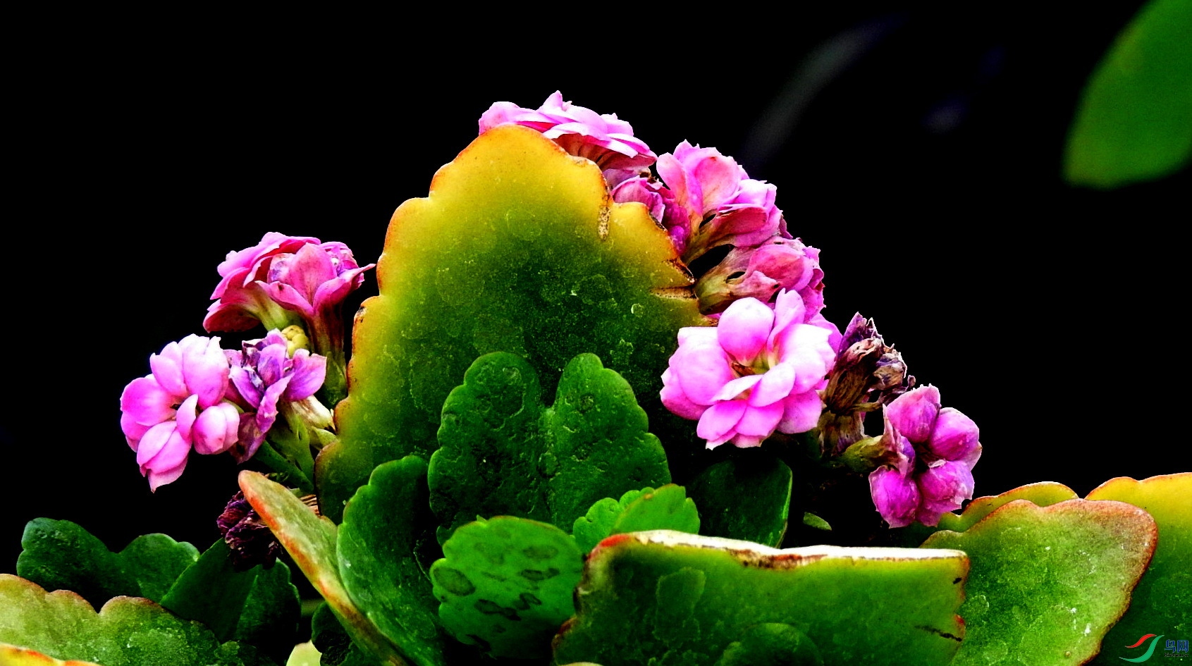 DSCN2505.JPG