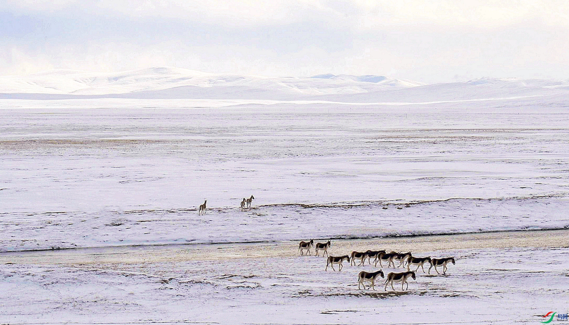 ����� �� ��Ӱ���μ���_����_����.jpg