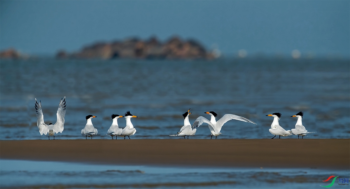 DSC_4099-2.jpg
