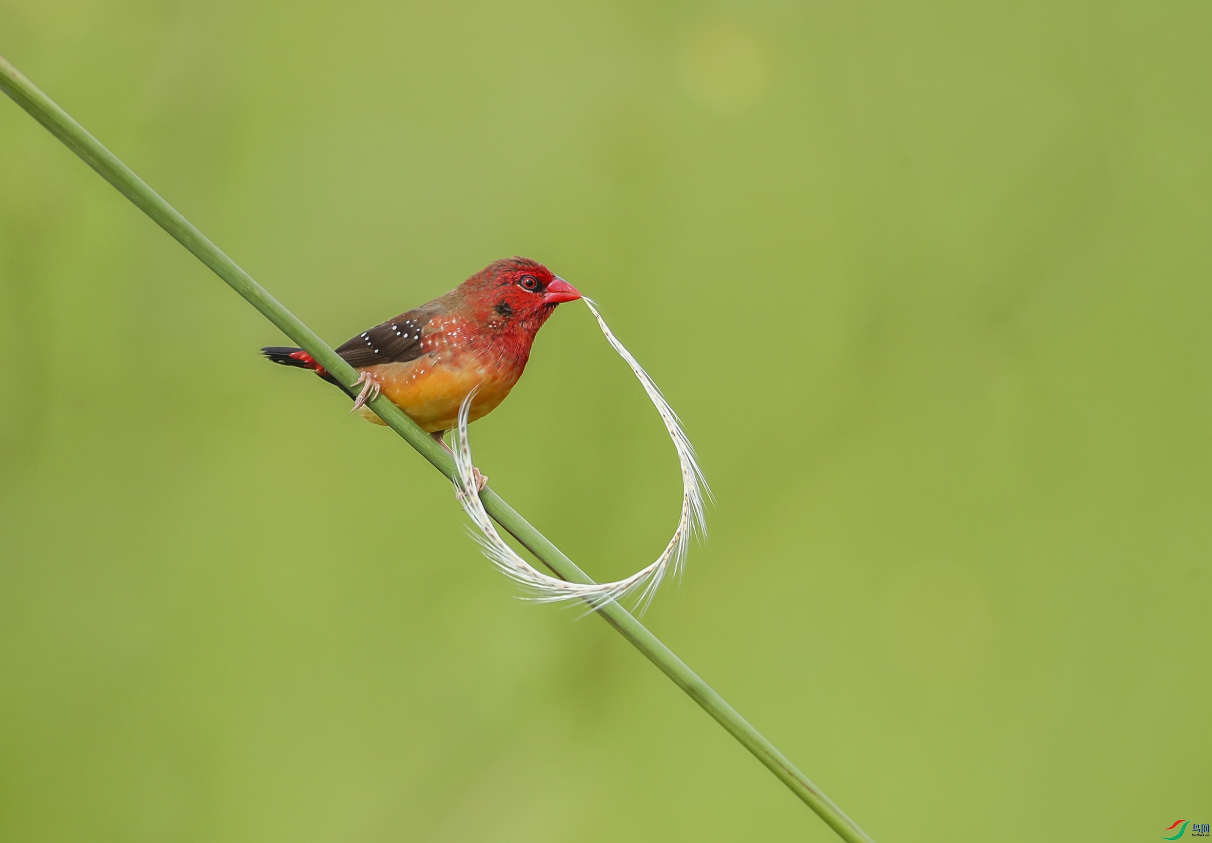 1a0d93c9e6f89196c63fb3f36fb1002- (1).jpg