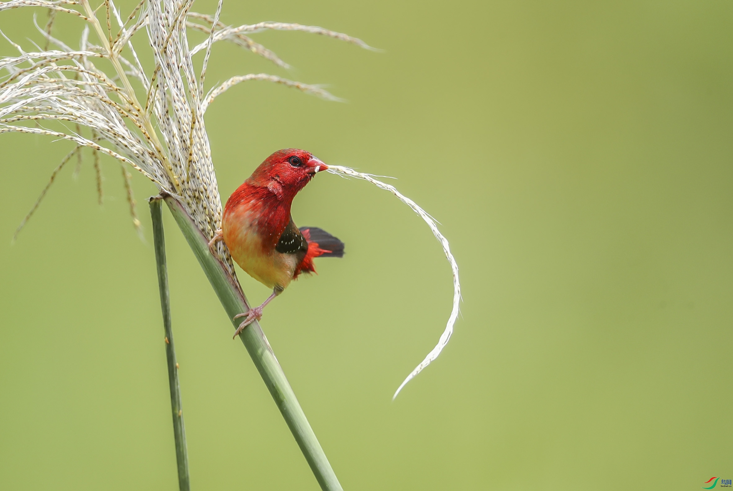 1a0d93c9e6f89196c63fb3f36fb1002- (3).jpg