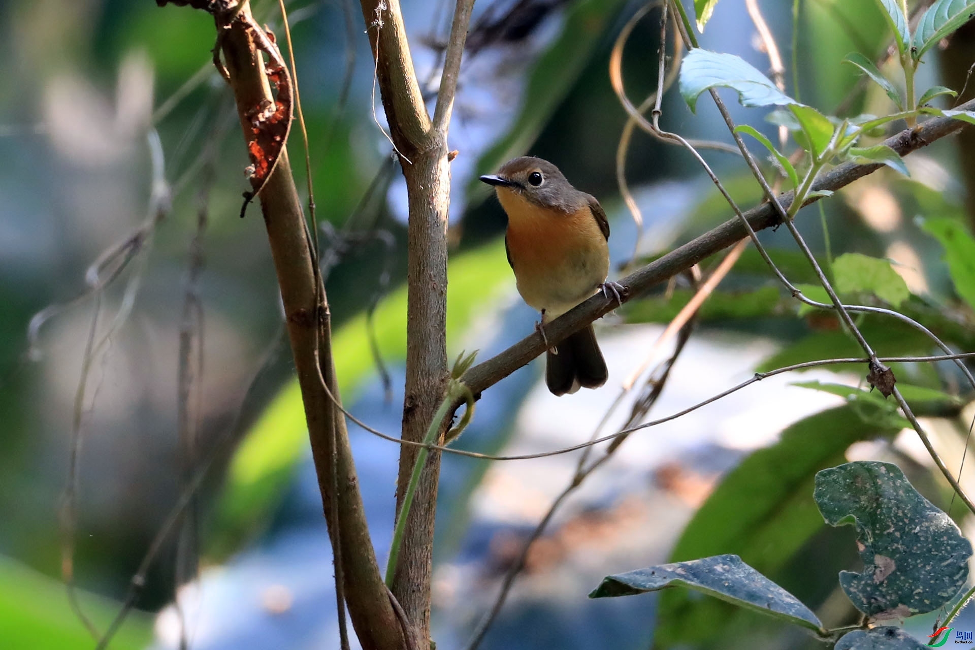 ������  ��ʦ����������ʡ�º���徰���������� ӯ����.jpg